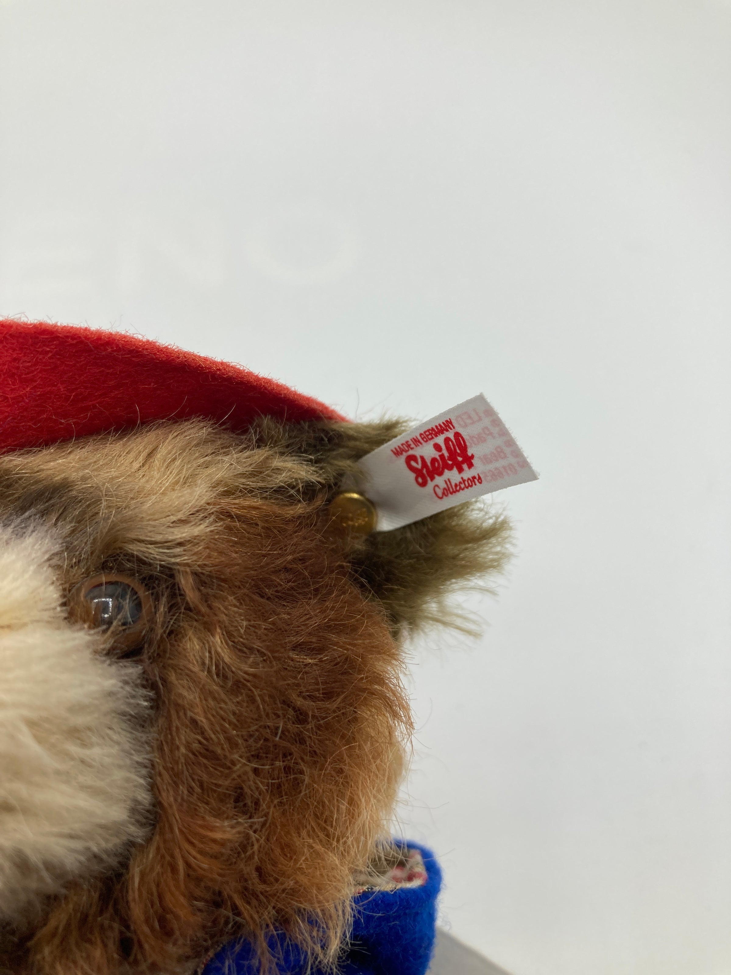 Steiff Mohair Paddington Bear With All IDs | My Site