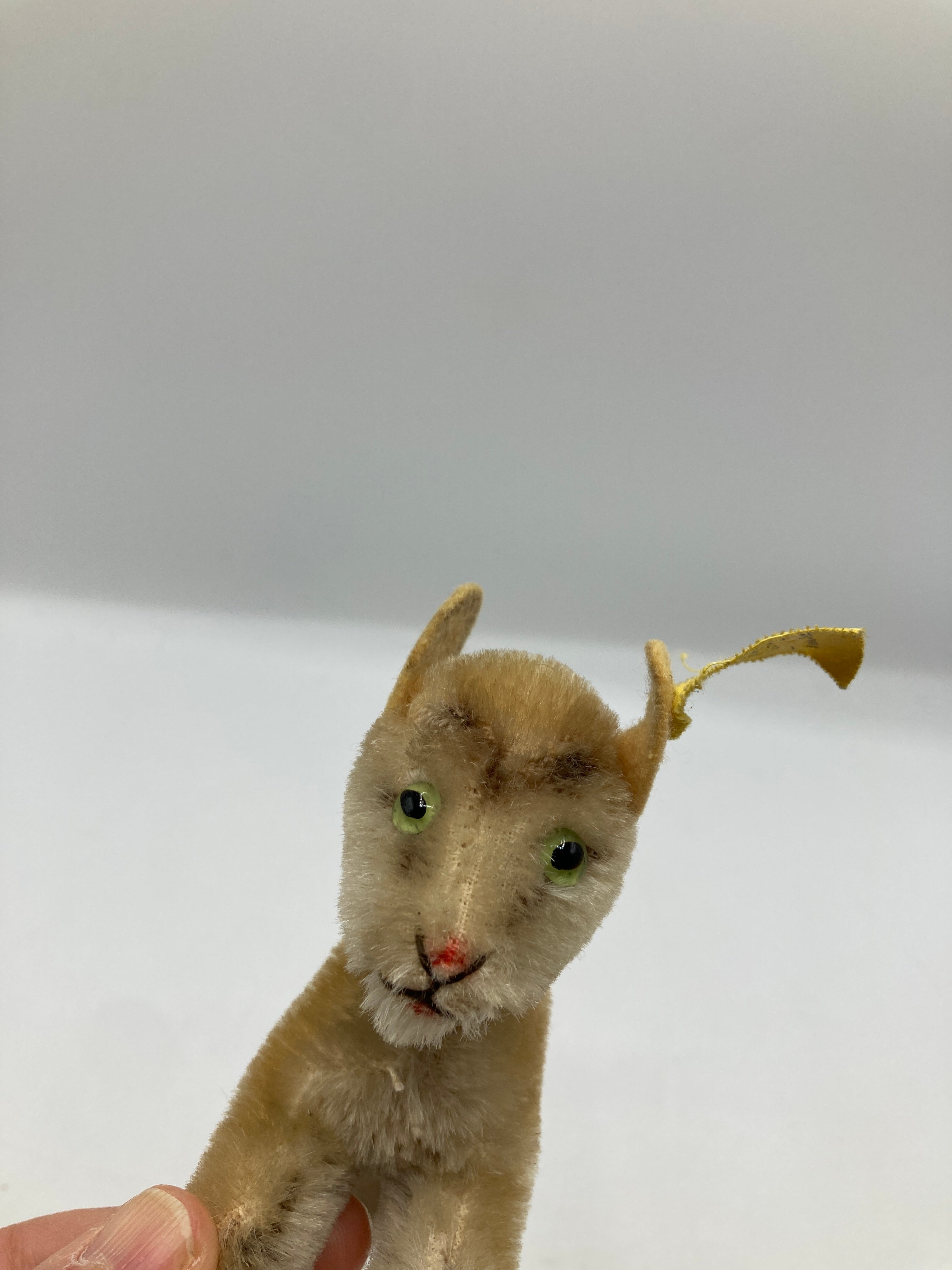 Steiff Smallest Mohair Zicky Goat With IDs | My Site