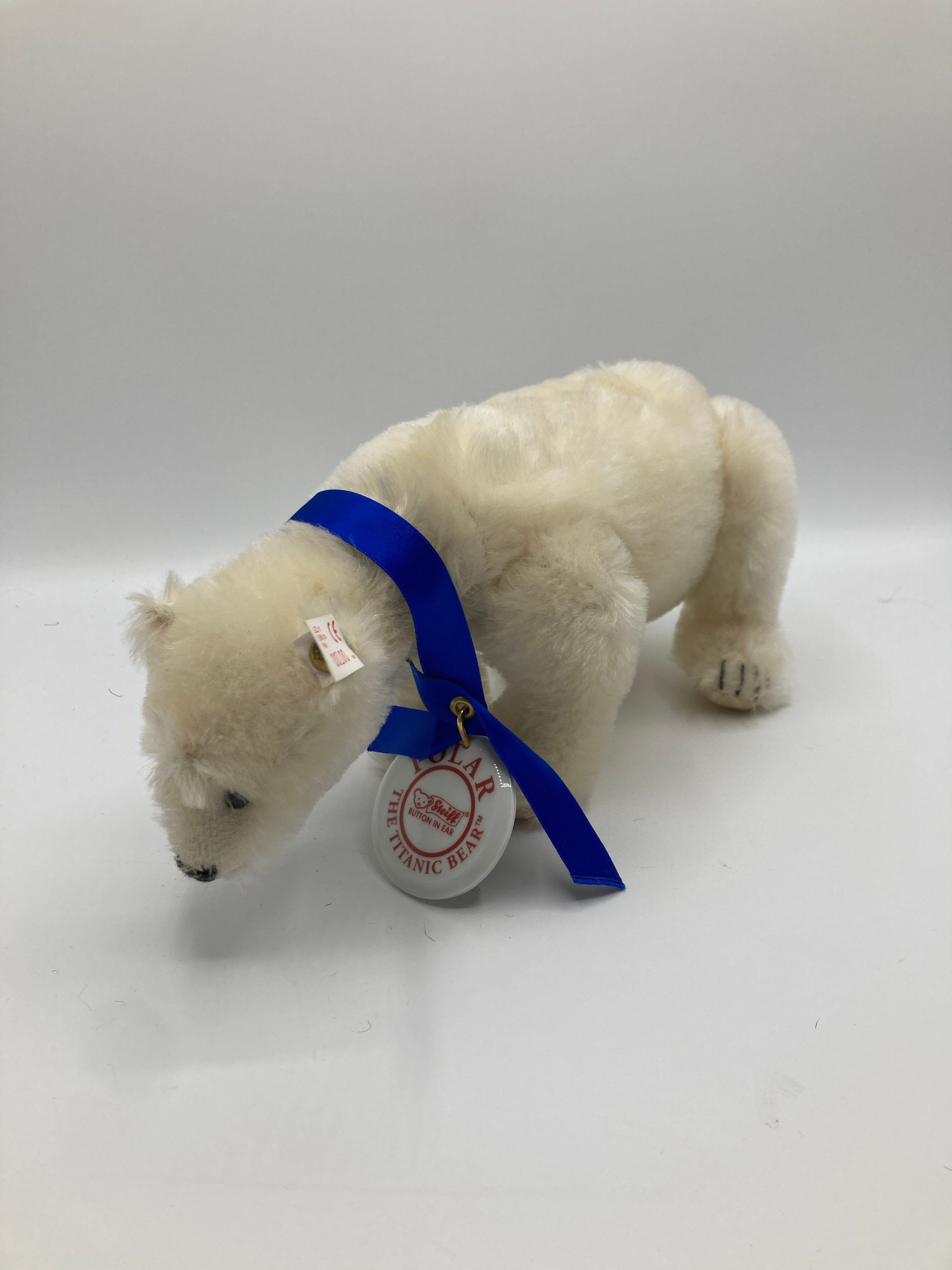 Steiff Polar The Titanic Bear With All IDs | My Site