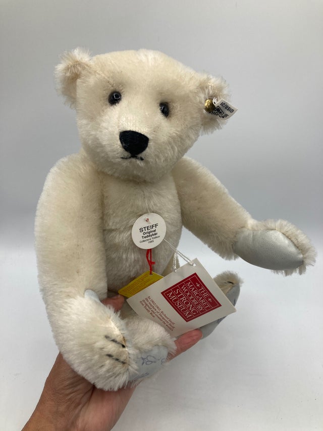 Bears | My Site