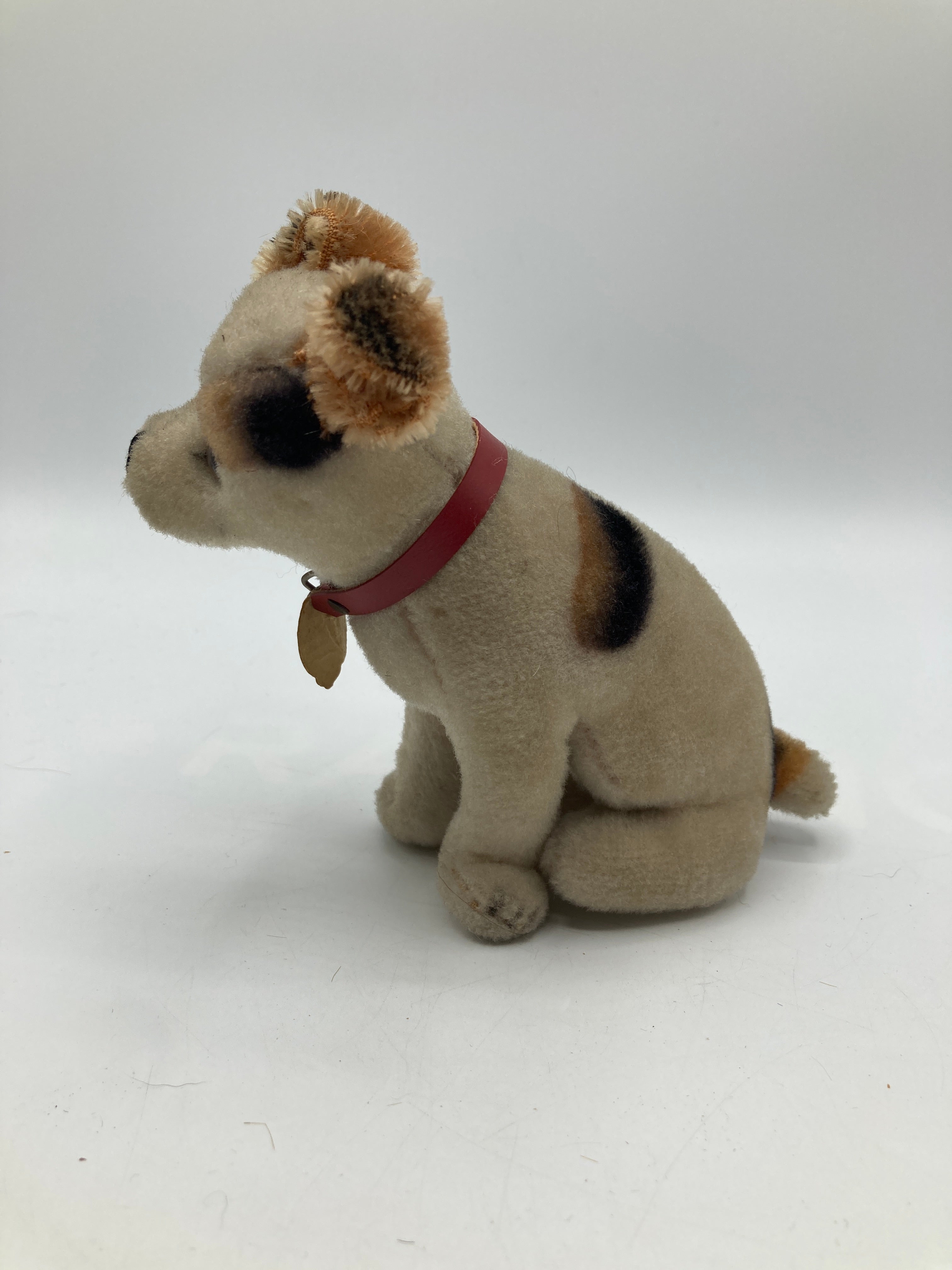 Steiff Smallest and Extremely Rare HMV Electrola Fox Dog With ID