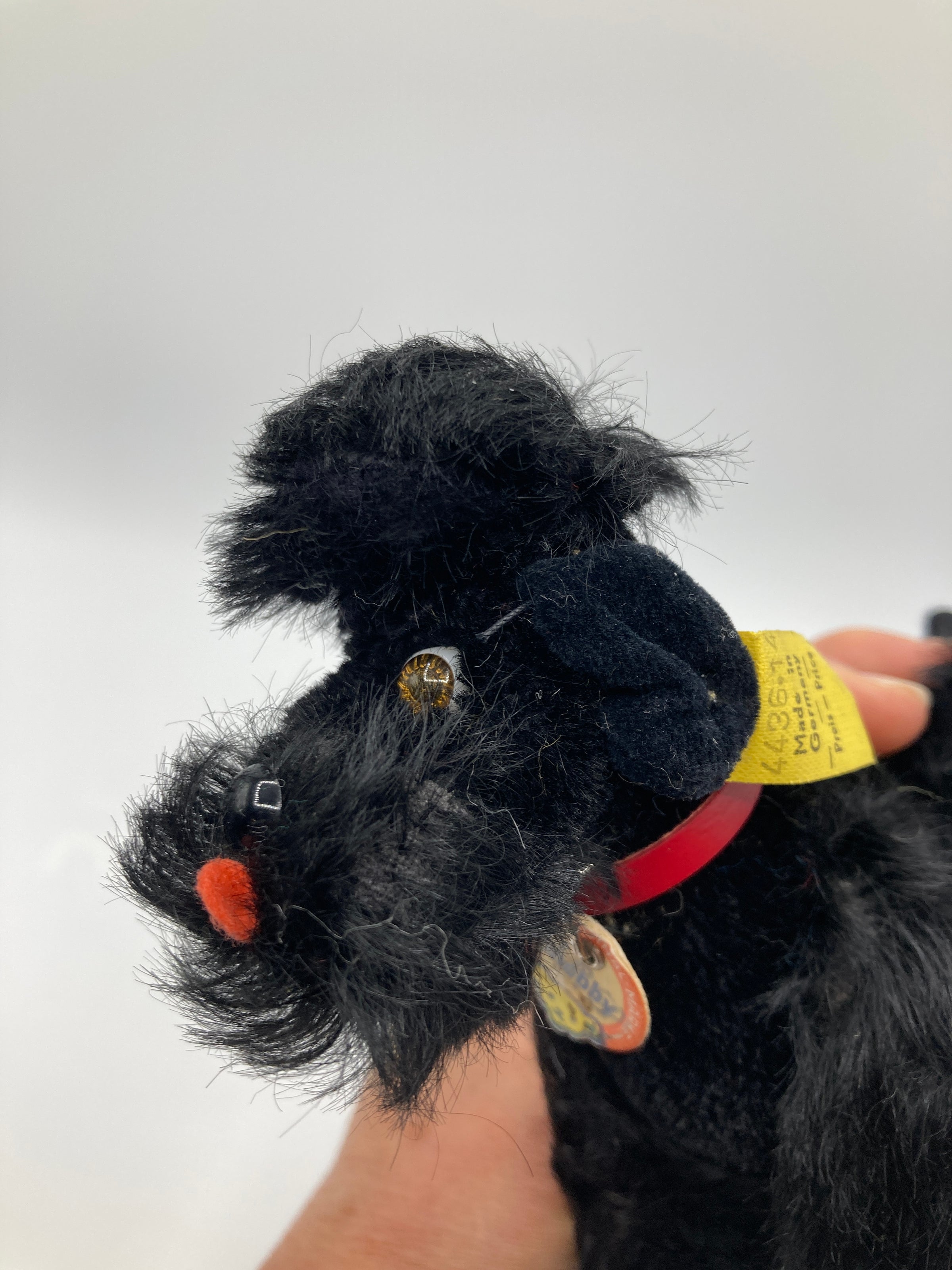 Steiff Smaller Black Mohair Snobby Poodle With All IDs | My Site