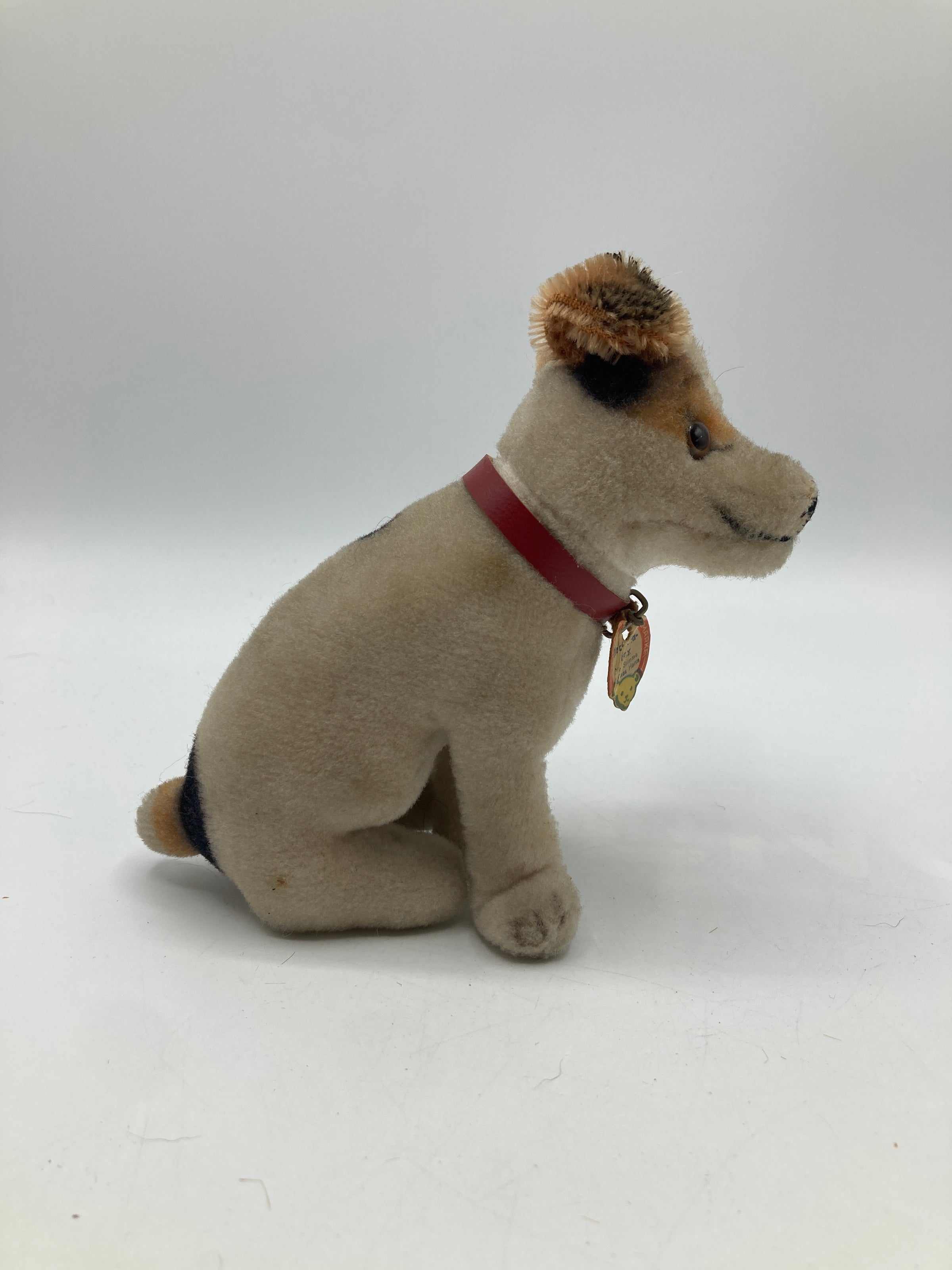 レア　Steiff ヴィンテージ 超美品 Steiff Smallest and Extremely Rare HMV Electrola Fox Dog With ID