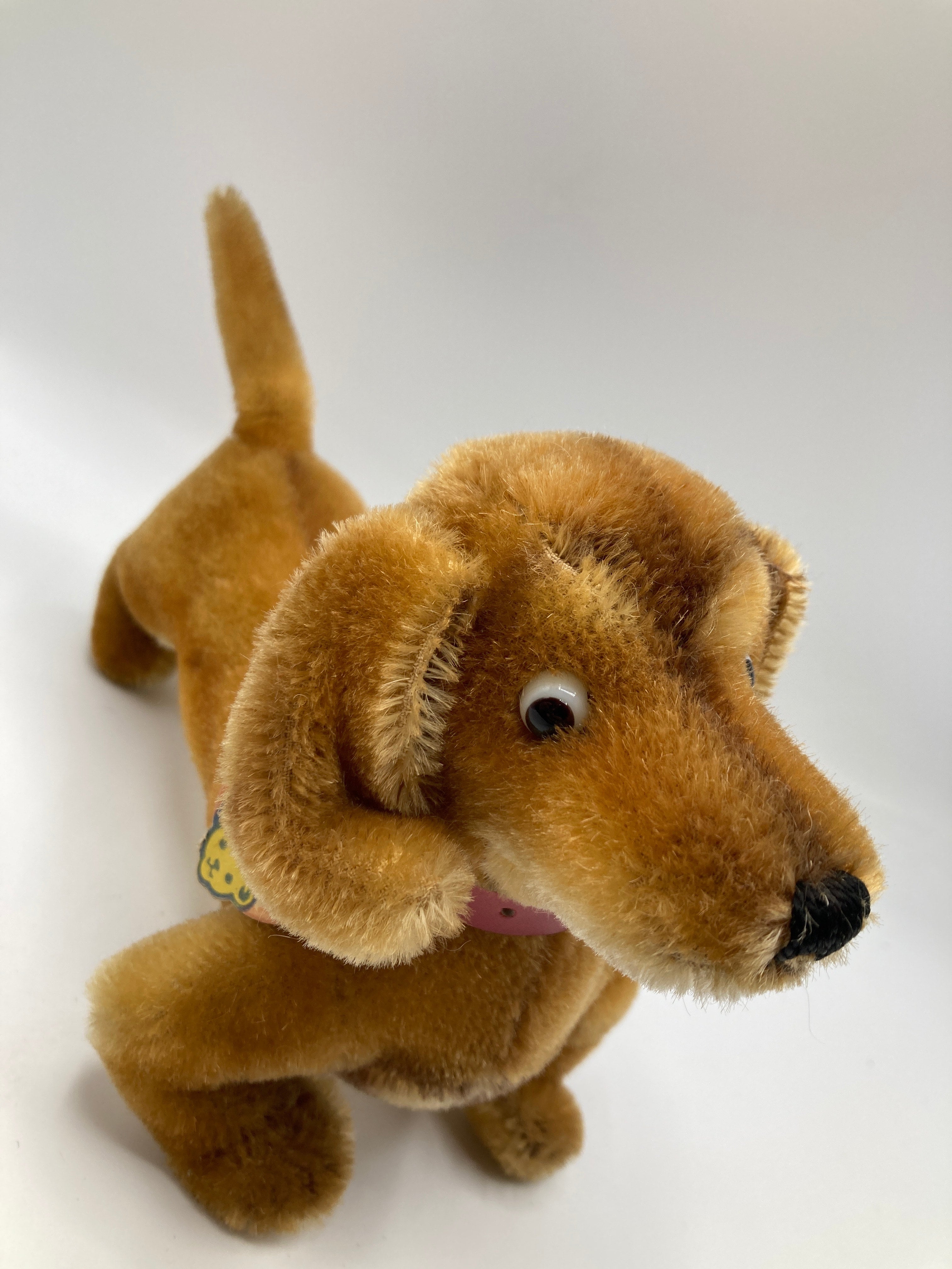 Steiff Medium Sized Hexie Dachshund With All IDs | My Site