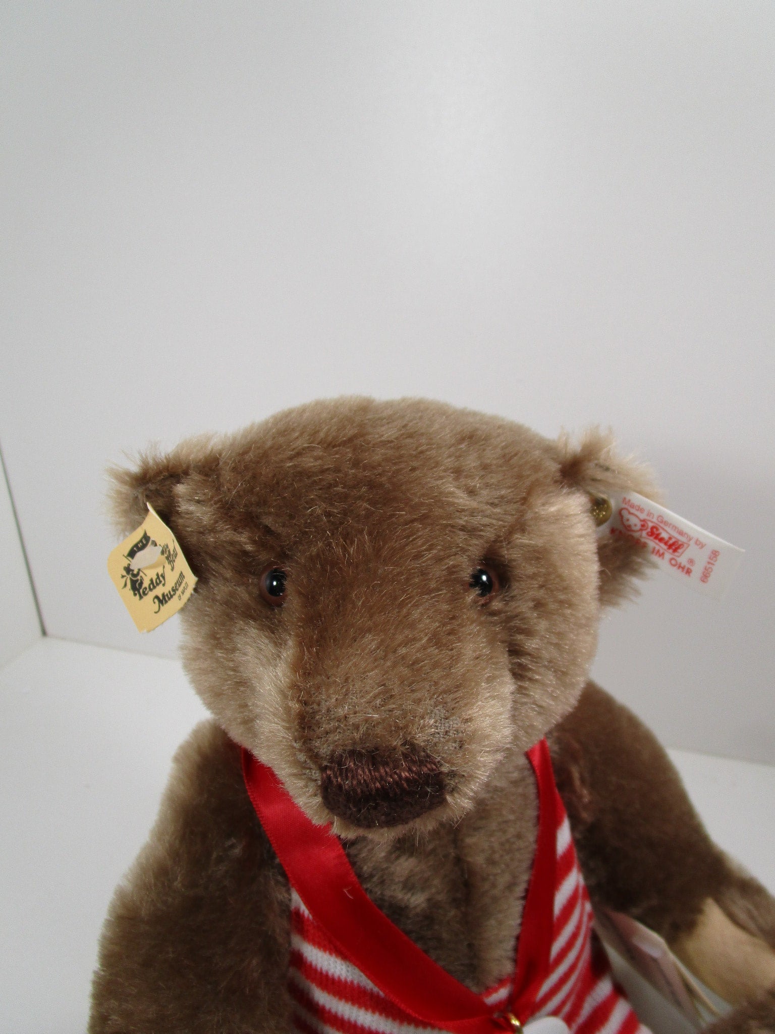 Steiff Exclusive Wiggins Bear With All IDs For The Teddy Bear
