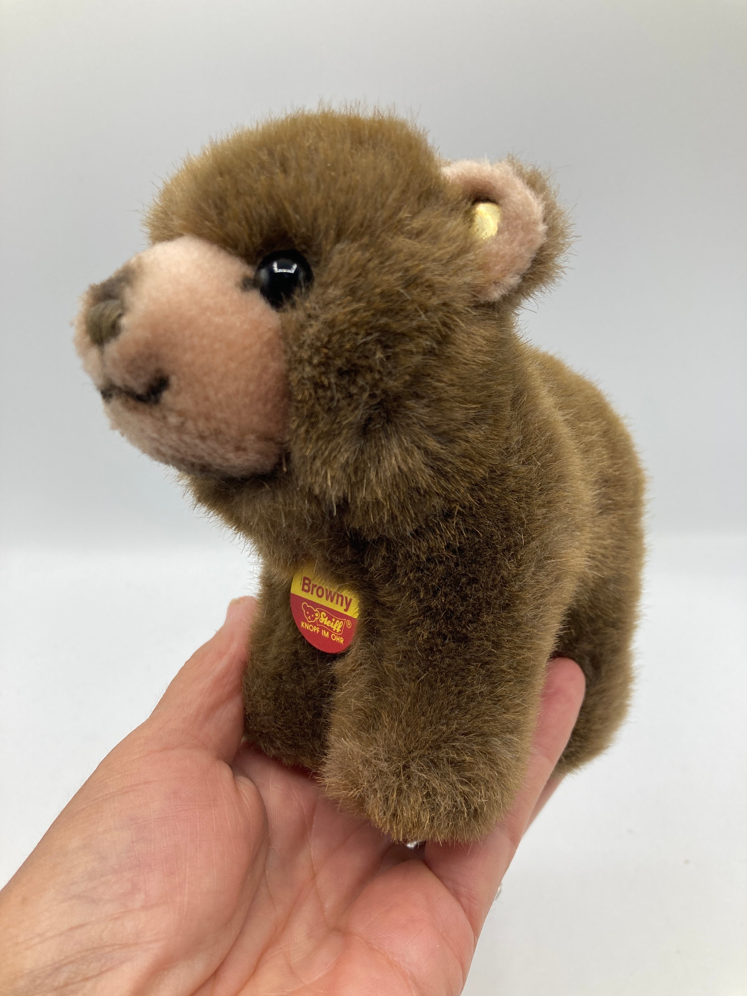 Steiff Standing Soft Plush Browny Bear With All IDs | My Site