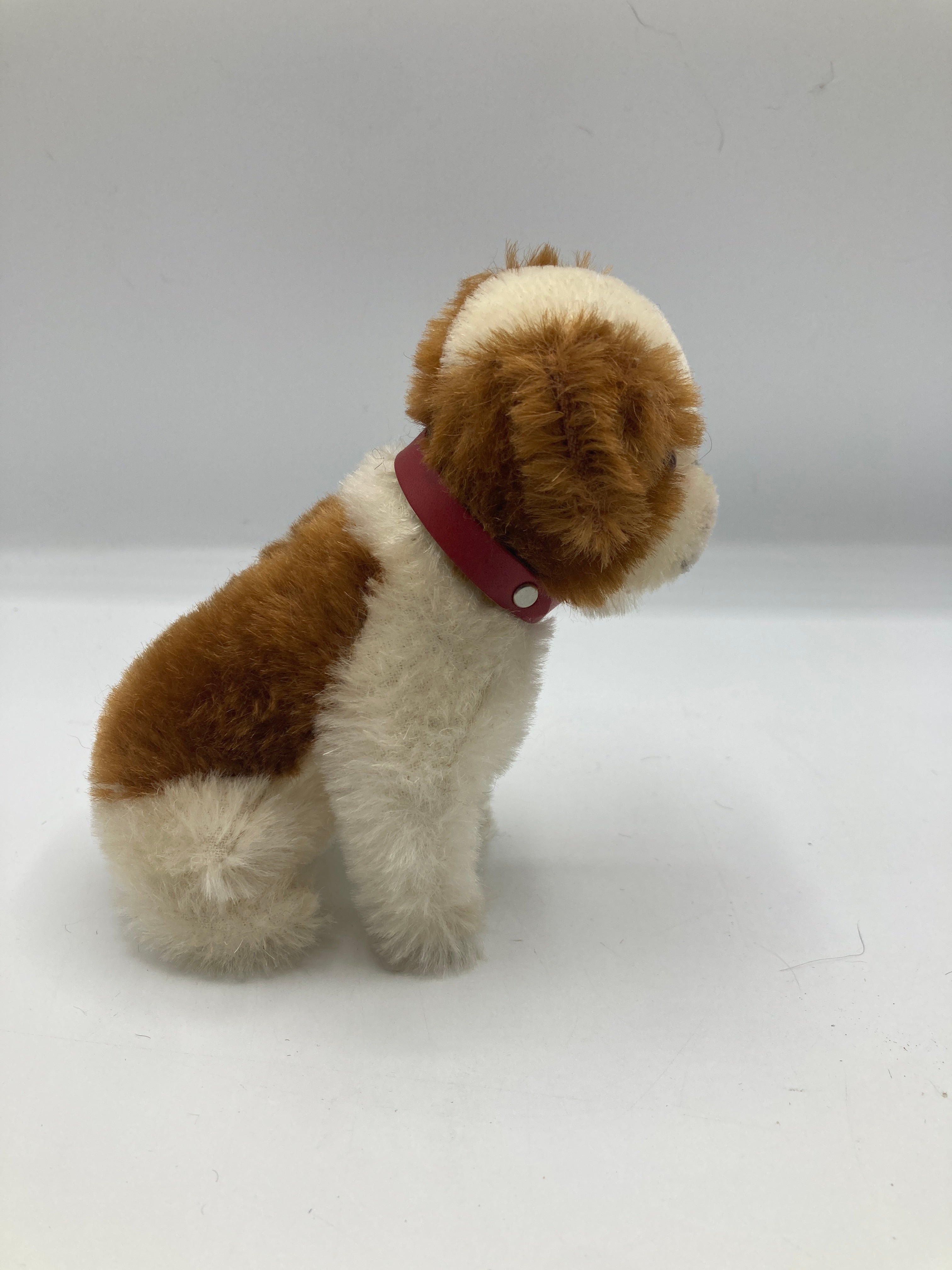 Steiff Mohair 1934 St. Bernard Dog With All IDs | My Site