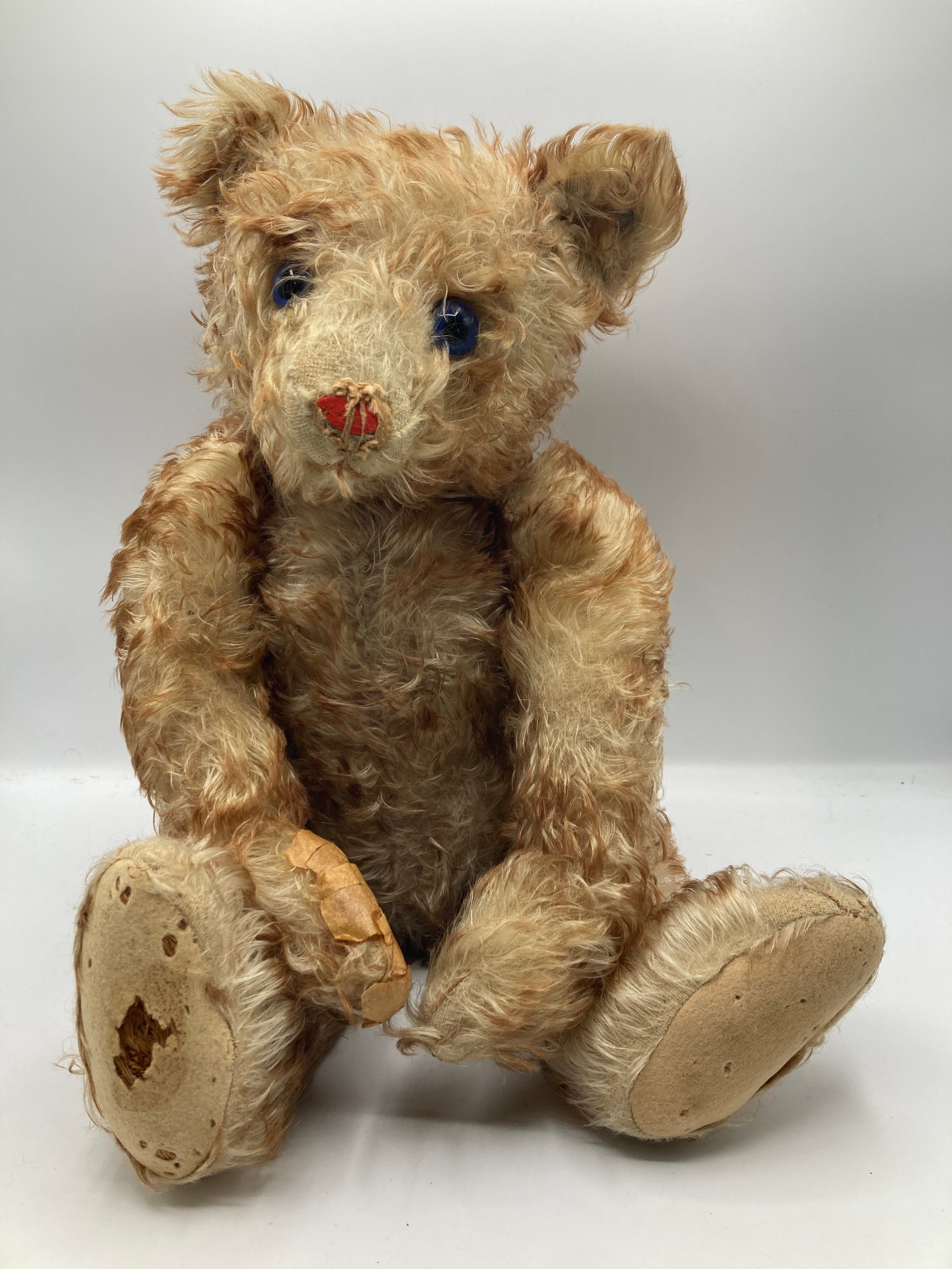 My SteiffLife | My Site