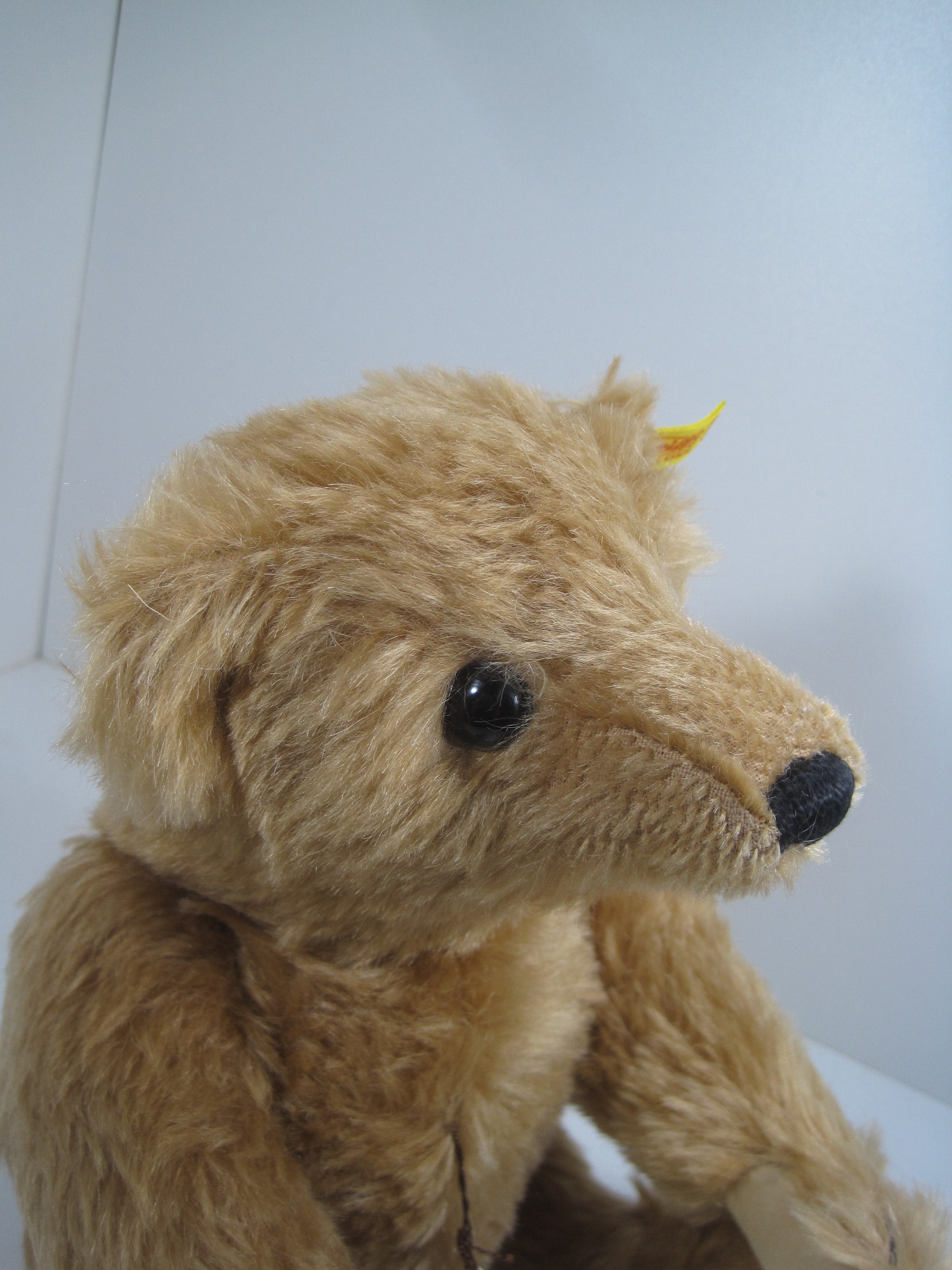 Steiff Mr. Cinnamon Mohair Bear With All IDs | My Site