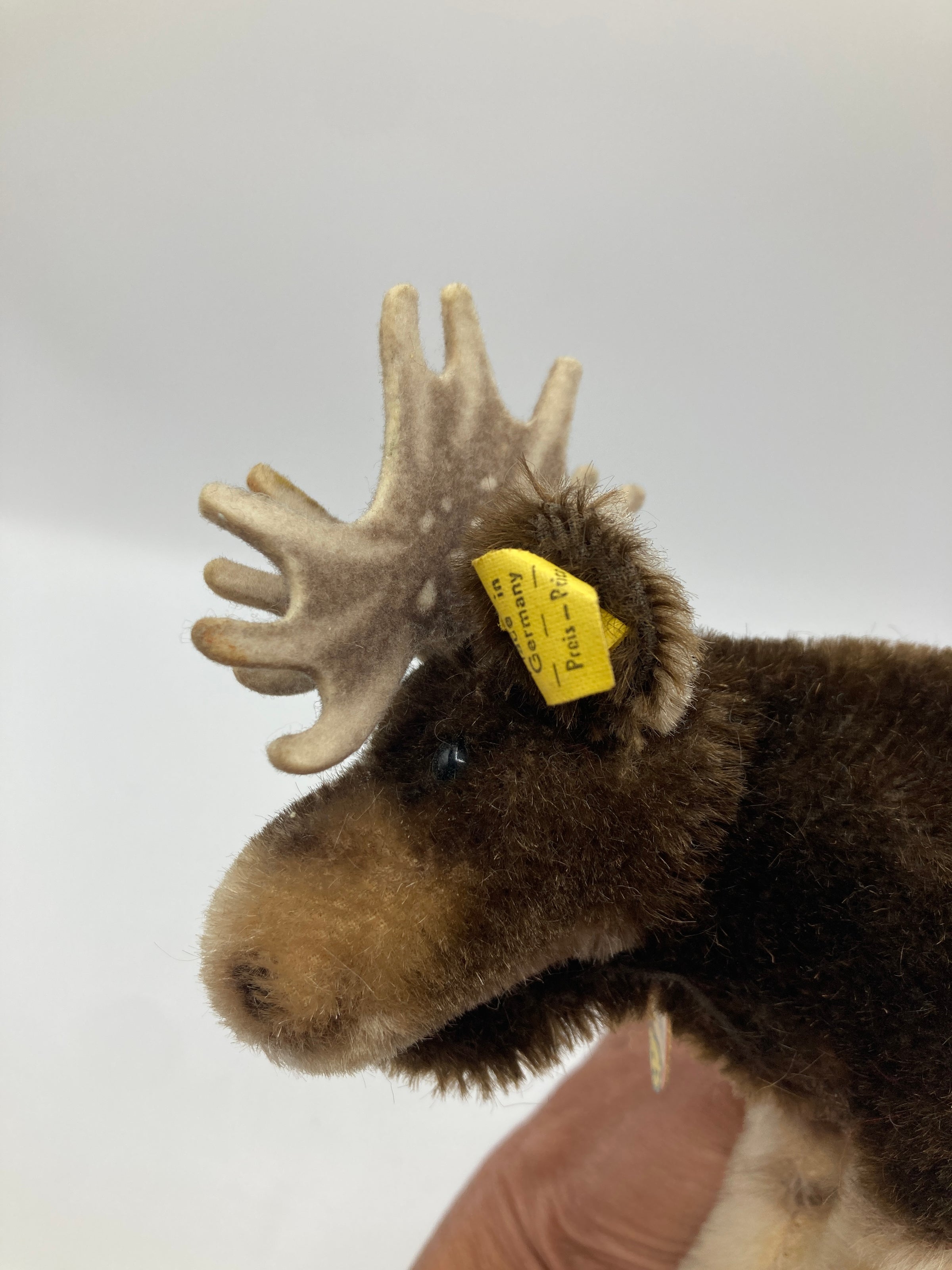 Steiff Smallest Mohair Moosy Moose With All IDs | My Site