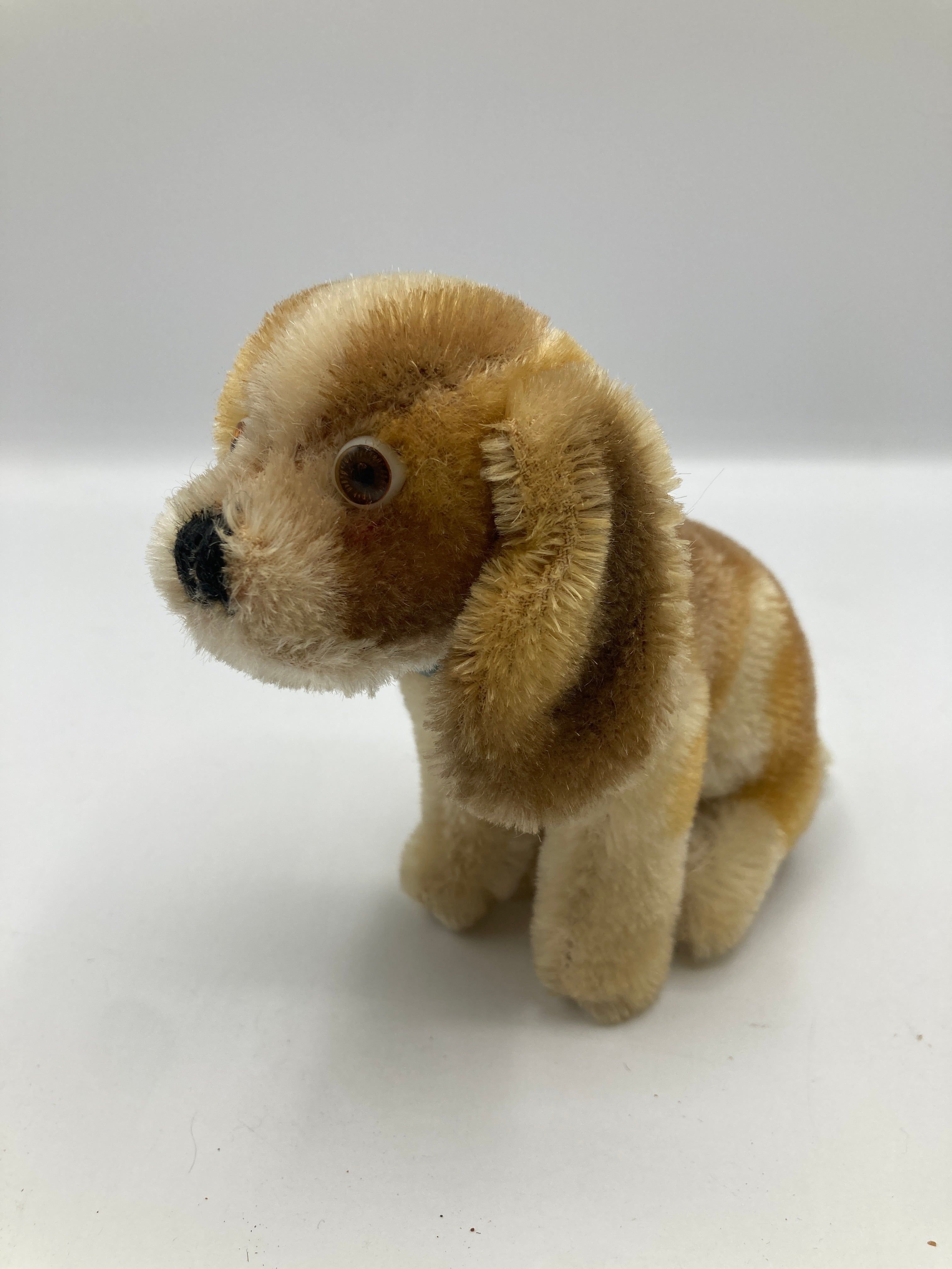 Steiff Smallest Basset Hound With ID | My Site