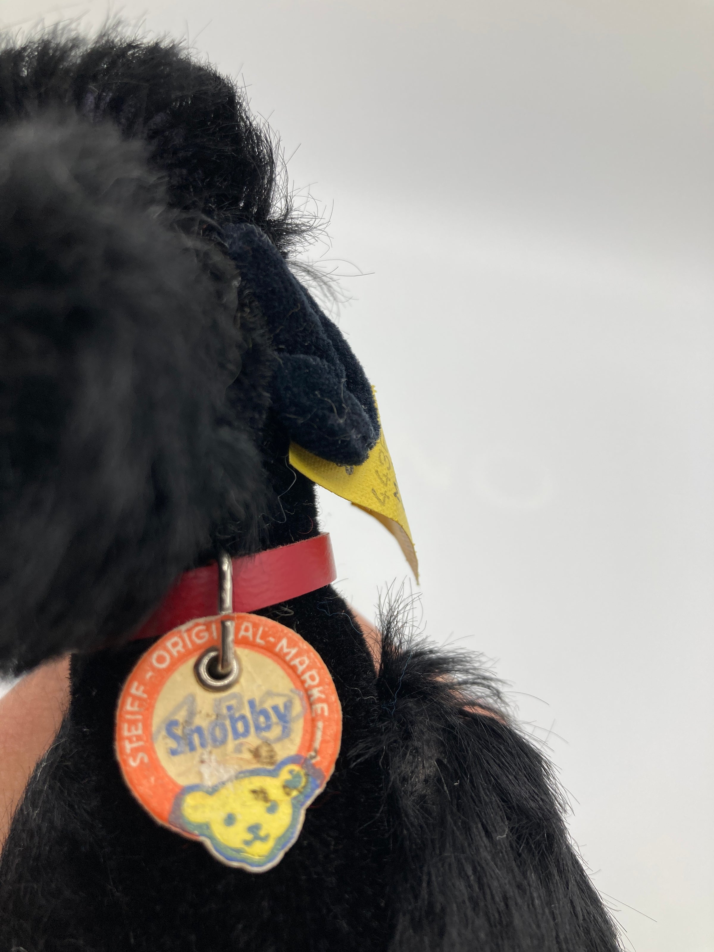 Steiff Smaller Black Mohair Snobby Poodle With All IDs | My Site