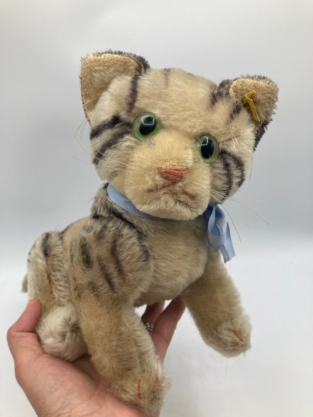 Cats | My Site