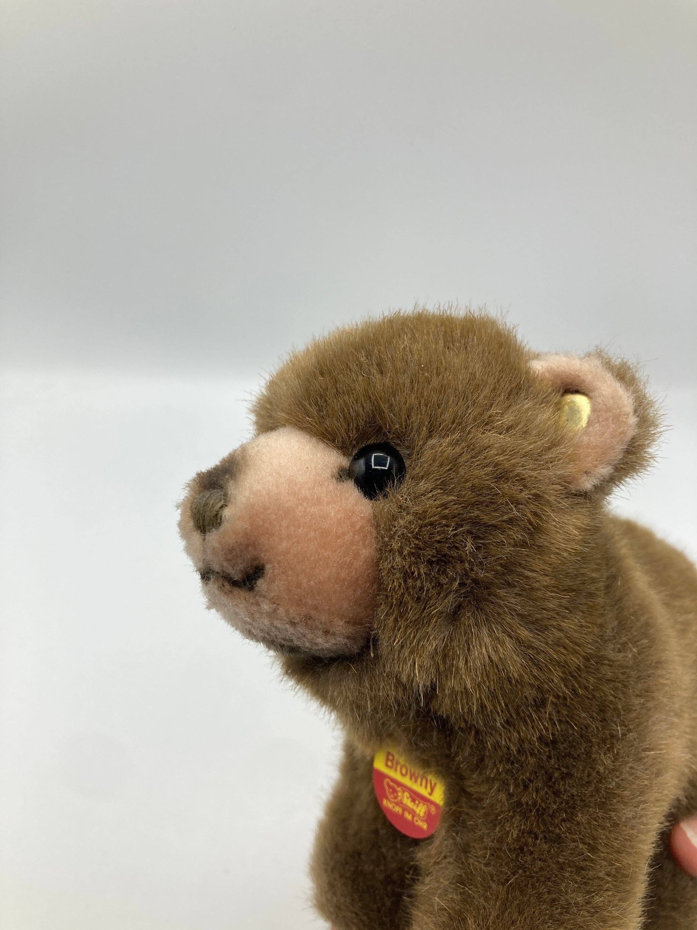 Steiff Standing Soft Plush Browny Bear With All IDs | My Site