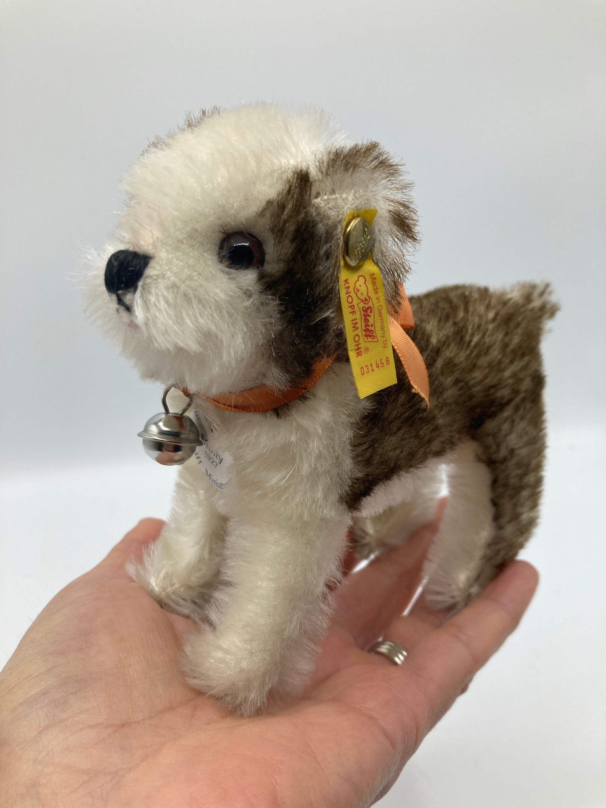 Steiff Standing Replica Molly Dog With All IDs | My Site
