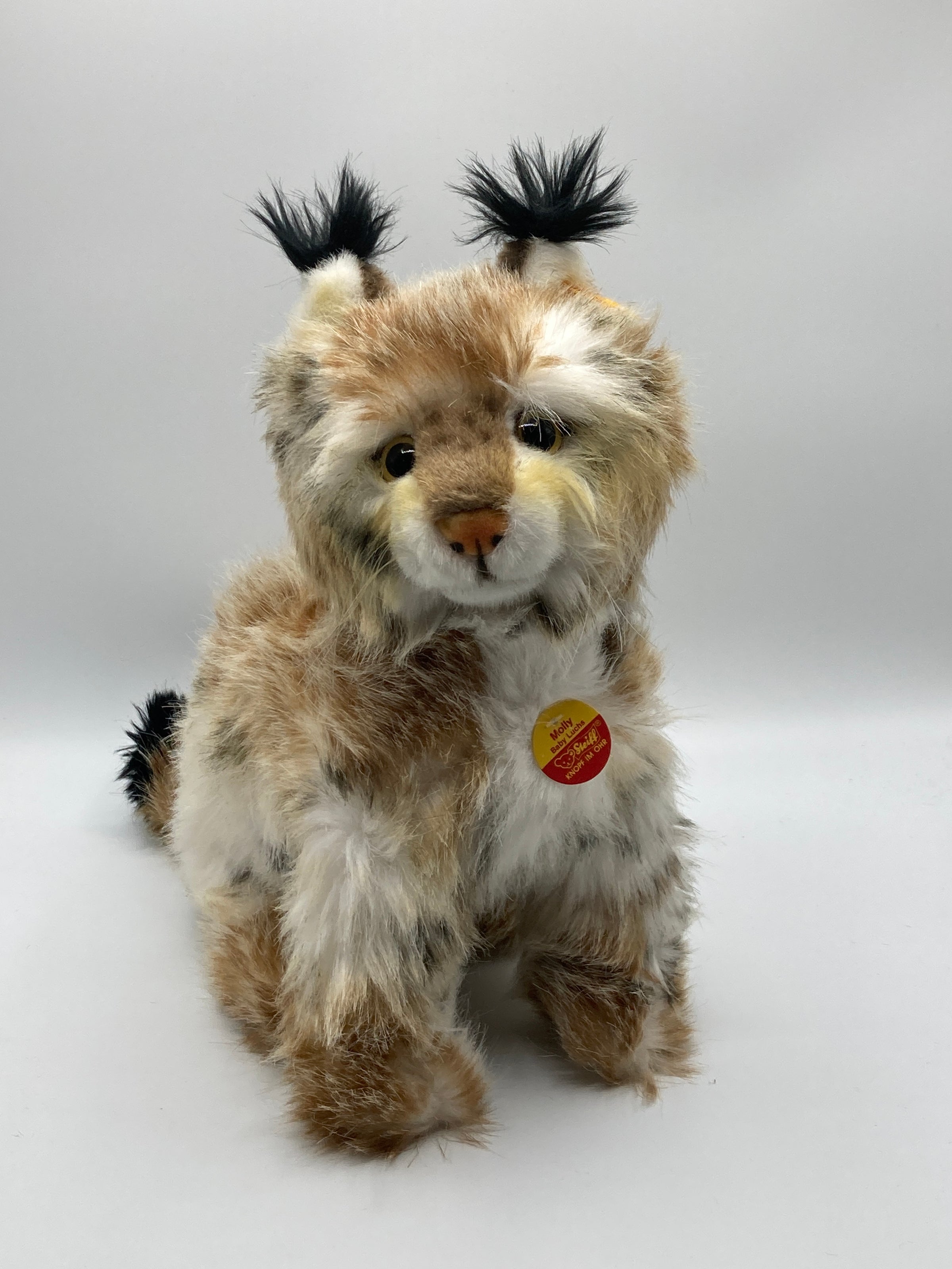 Steiff Molly Baby Lynx With All IDs | My Site