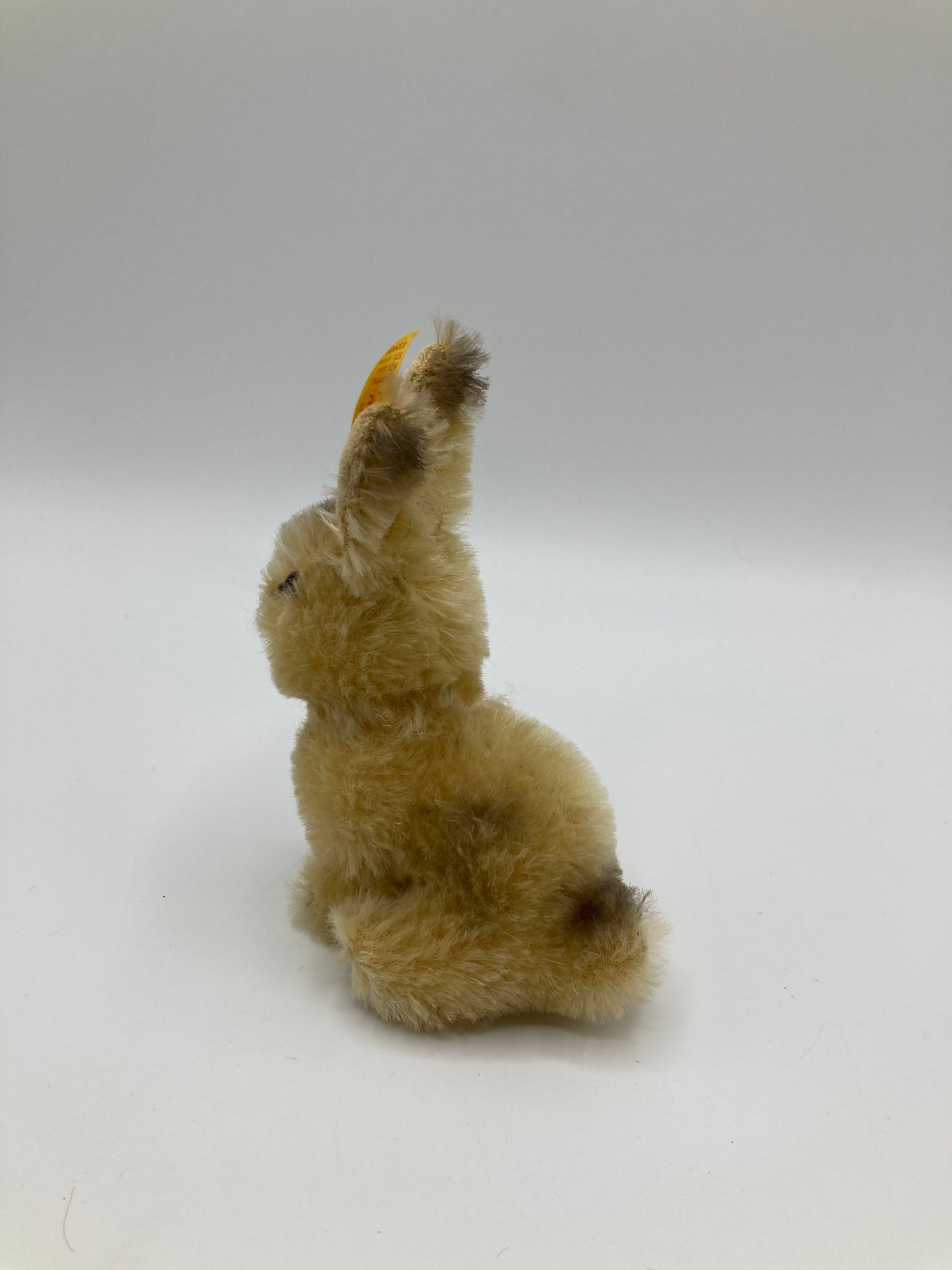 Steiff Sitting Dormy Blonde Mohair Bunny Rabbit With All IDs | My Site