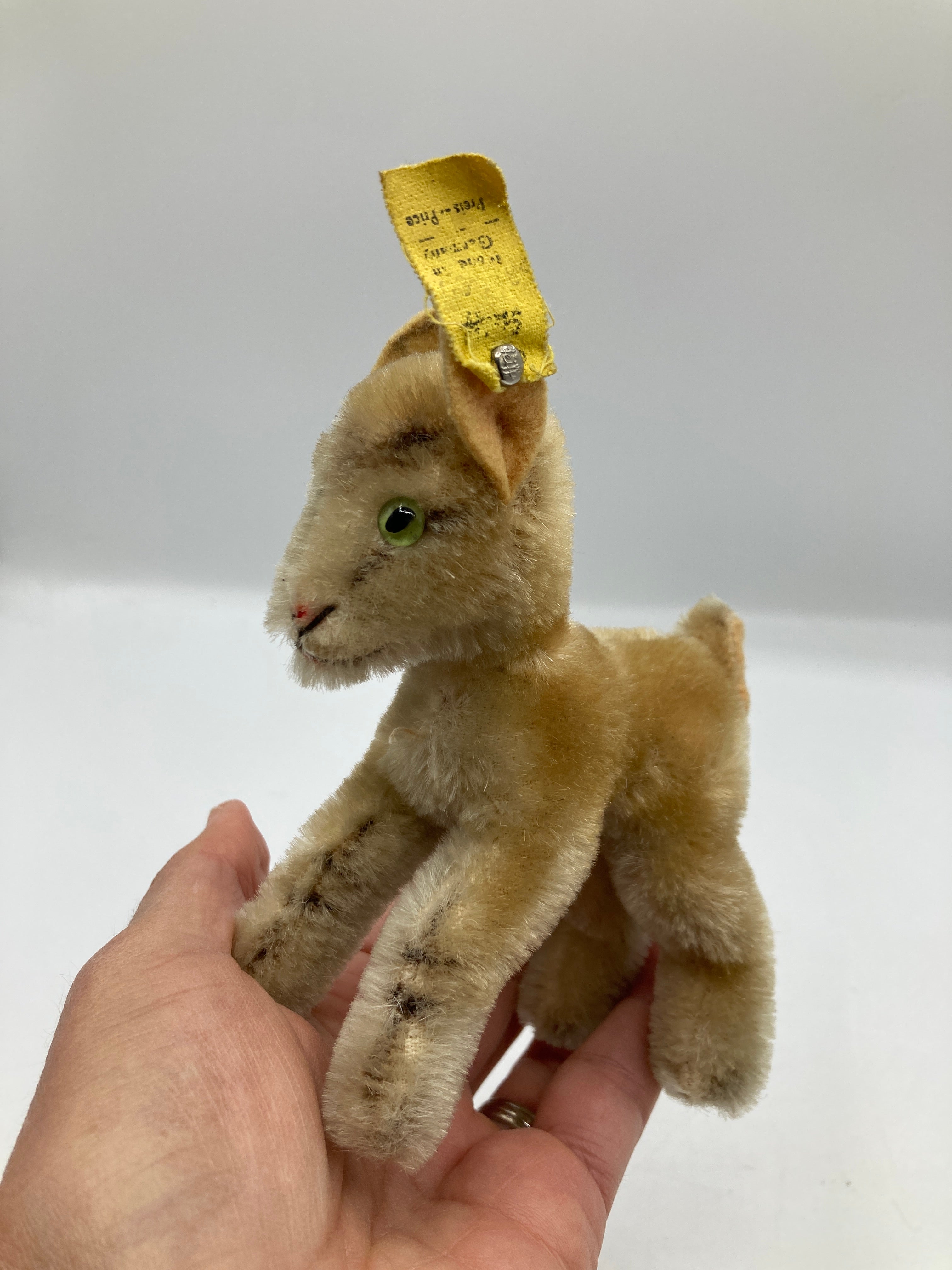 Steiff 　ヤギのZicky　最小 Steiff Smallest Mohair Zicky Goat With IDs | My Site