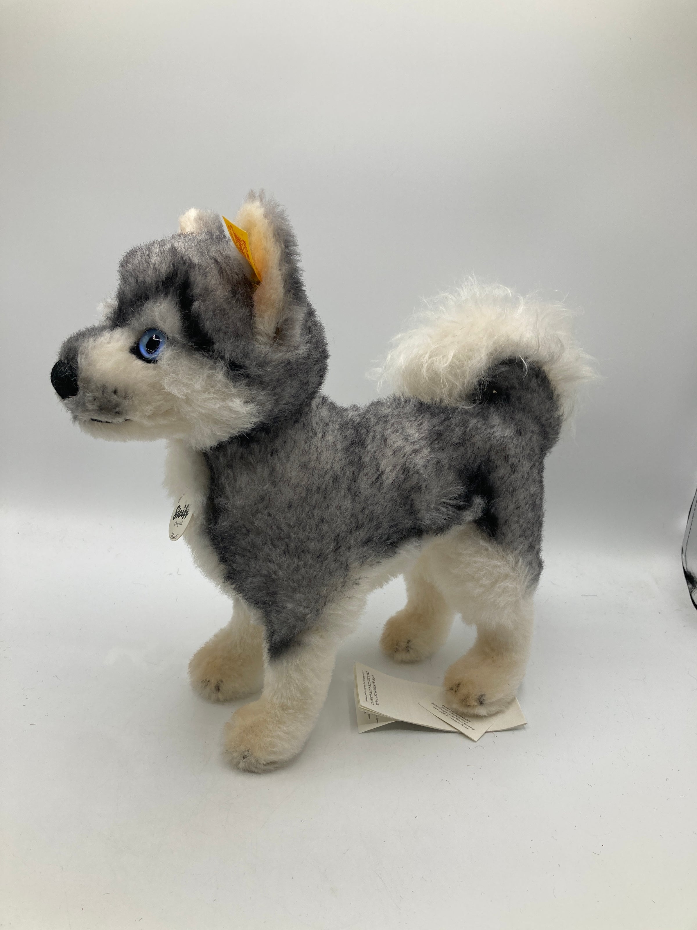 Steiff Hasso Husky Alpaca Dog with All IDs | My Site