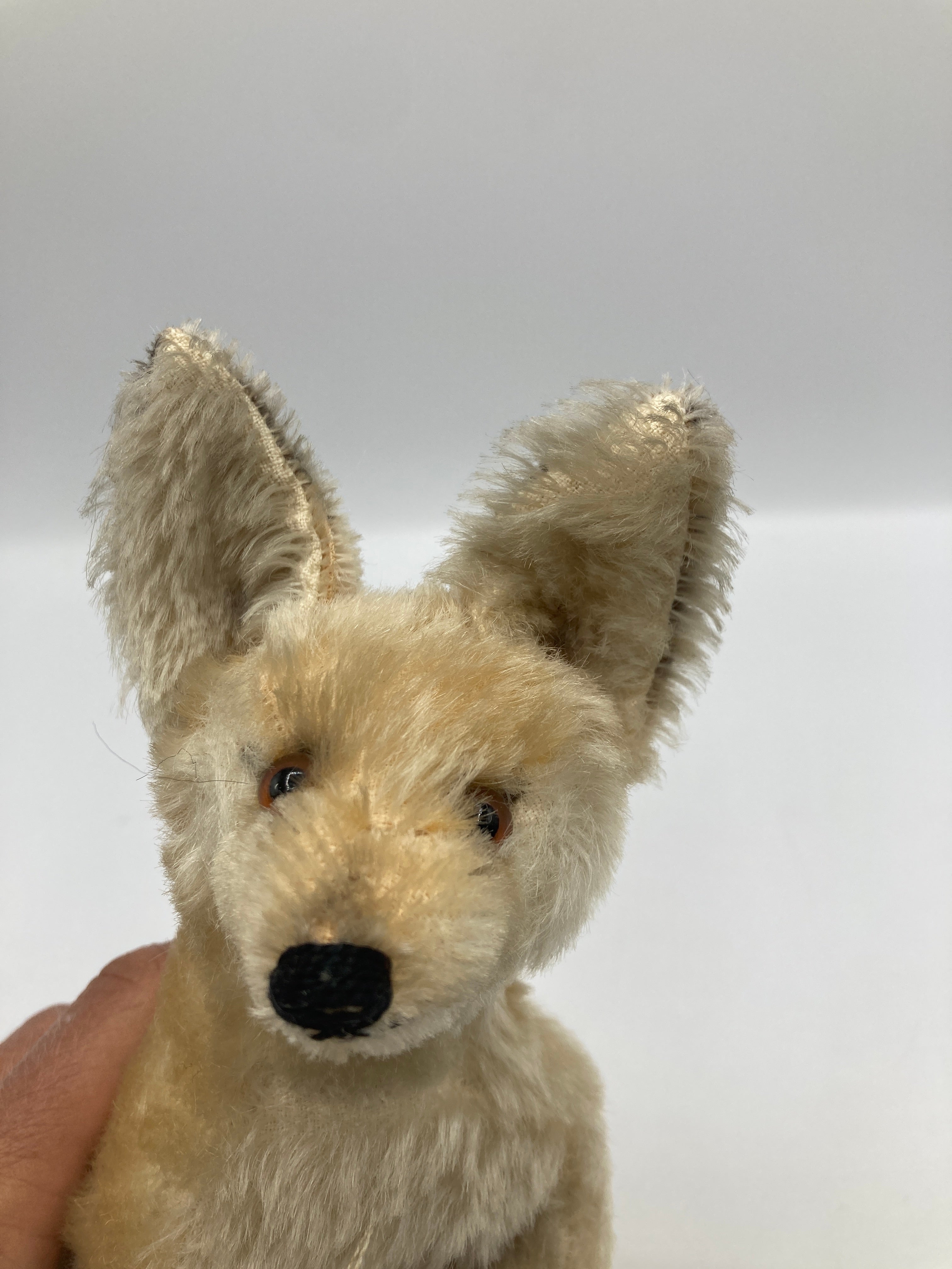 Steiff Larger Sitting Desert Fox Xorry | My Site