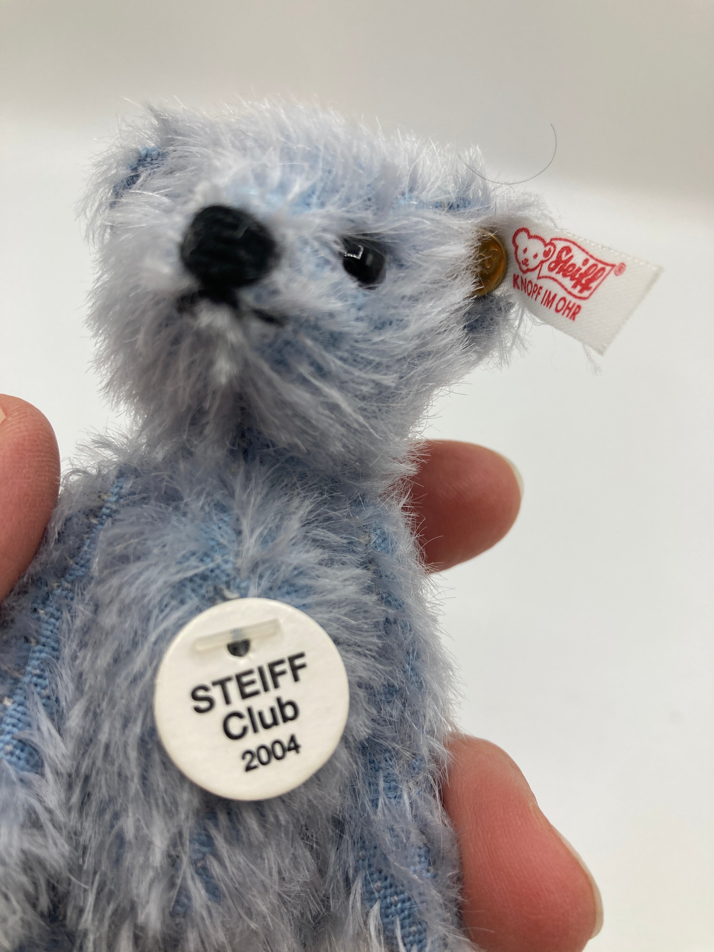 Steiff Fully Jointed Tiny 2004 Steiff Club Bear With All IDs | My Site