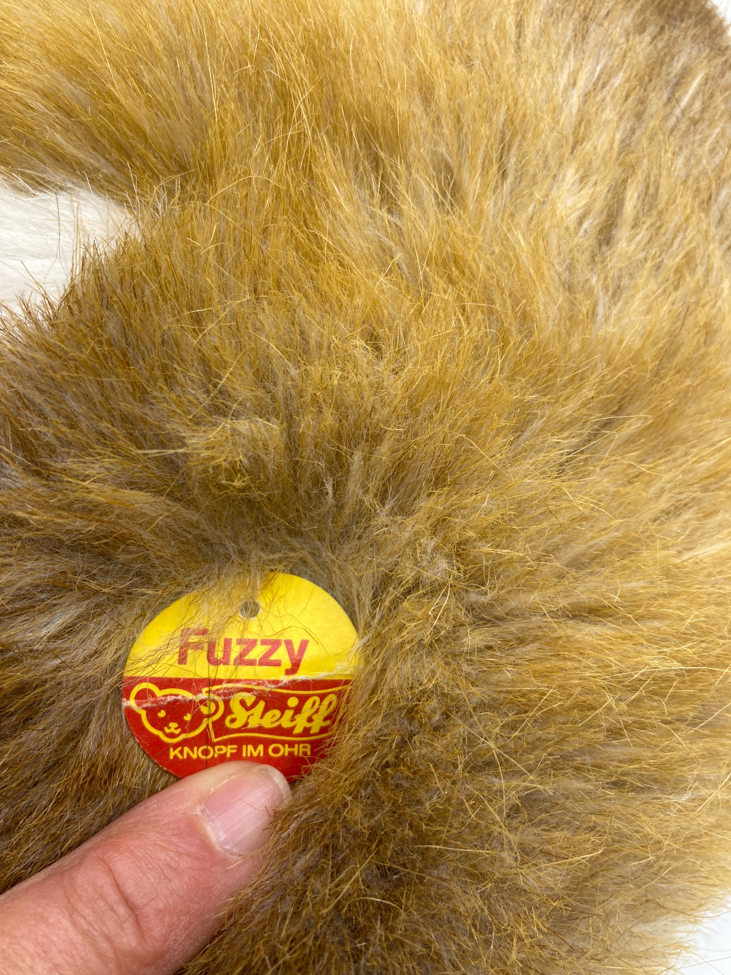 Steiff's Soft Plush Curled Up Fuzzy Fox With All IDs | My Site