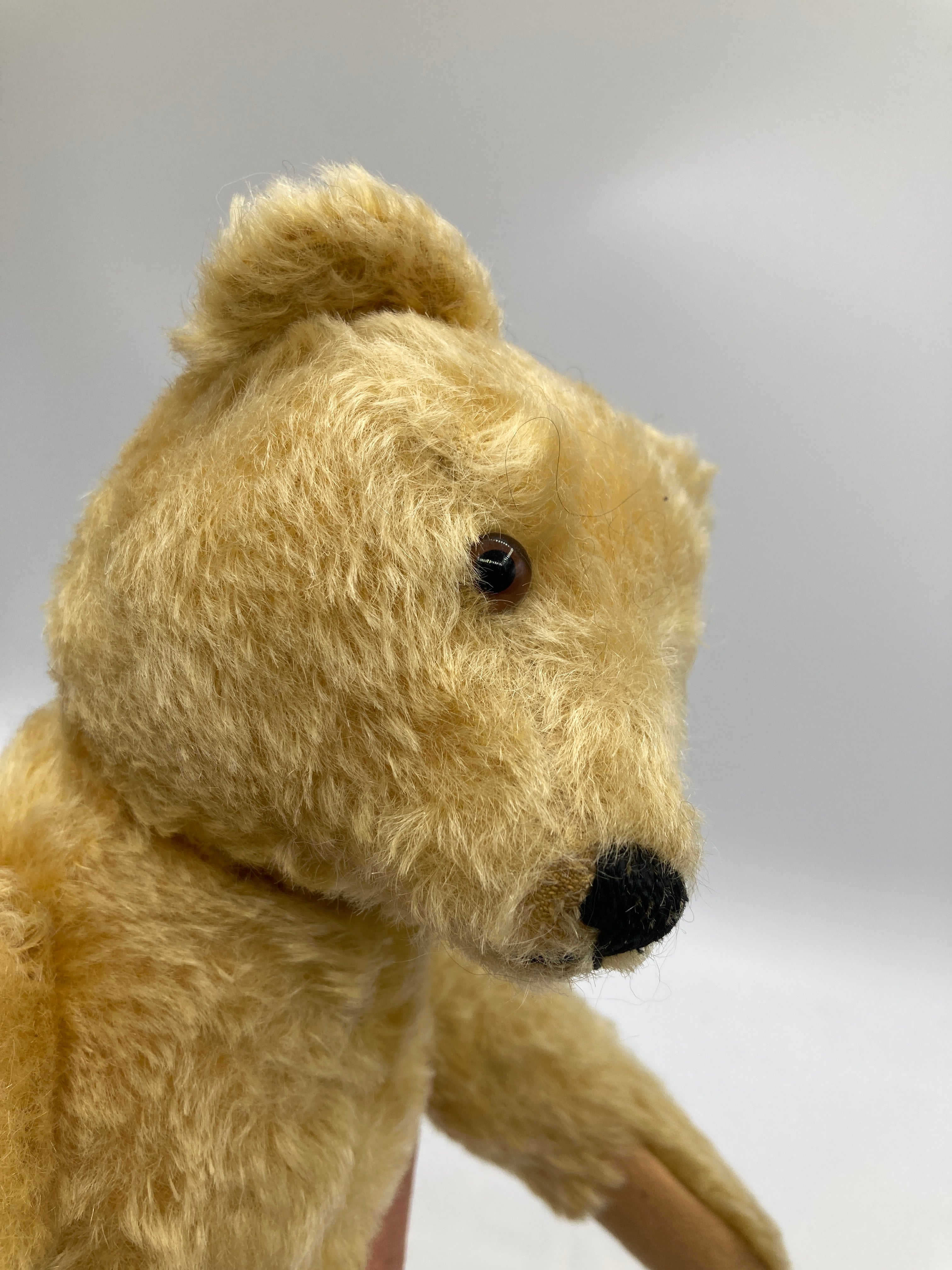 Steiff Medium Sized Blonde Midcentury Teddy Bear With IDs