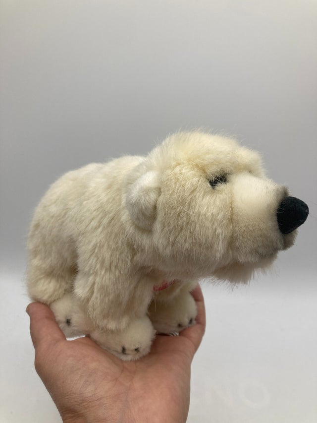 Bears | My Site