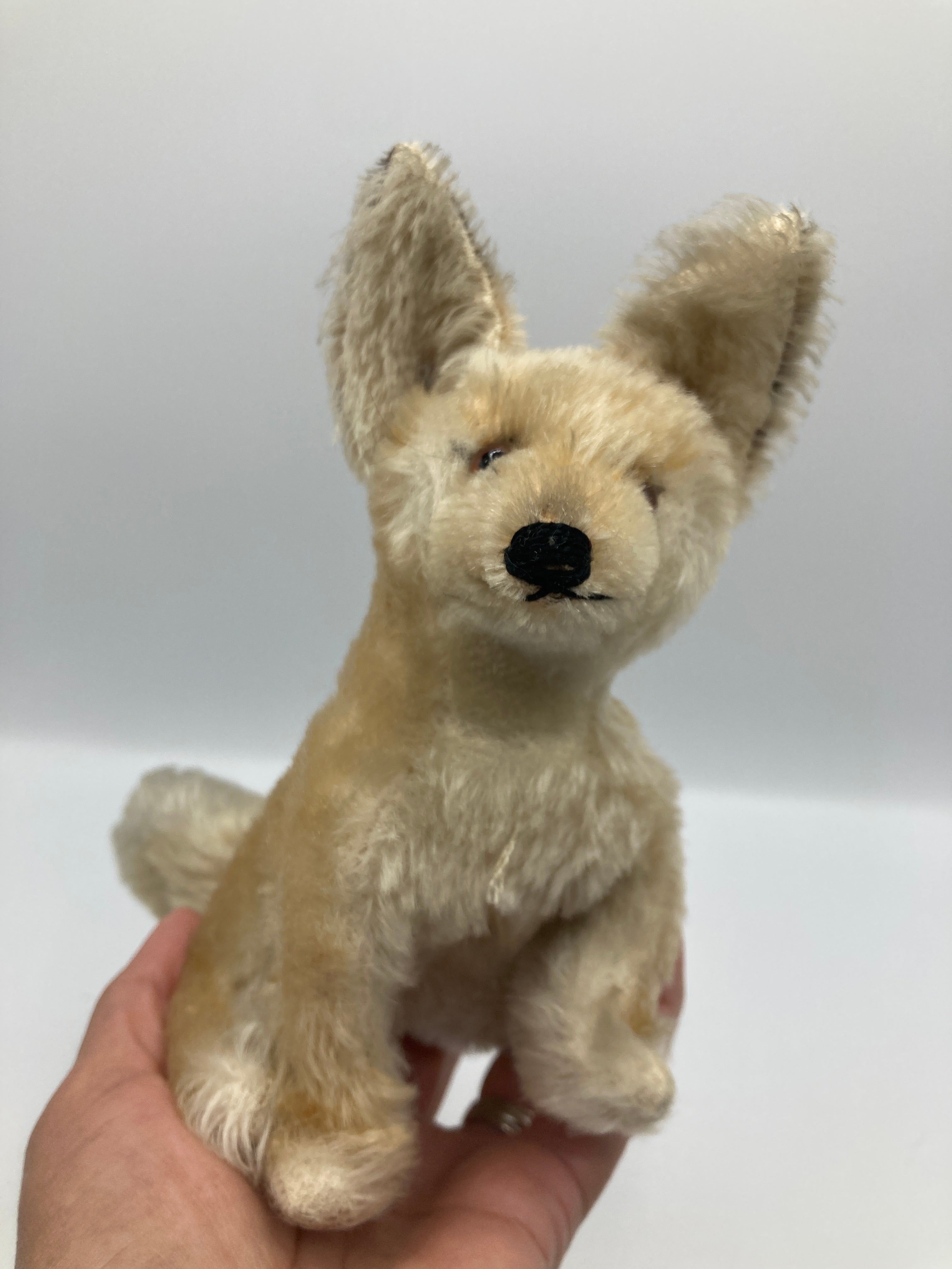 Steiff Larger Sitting Desert Fox Xorry | My Site