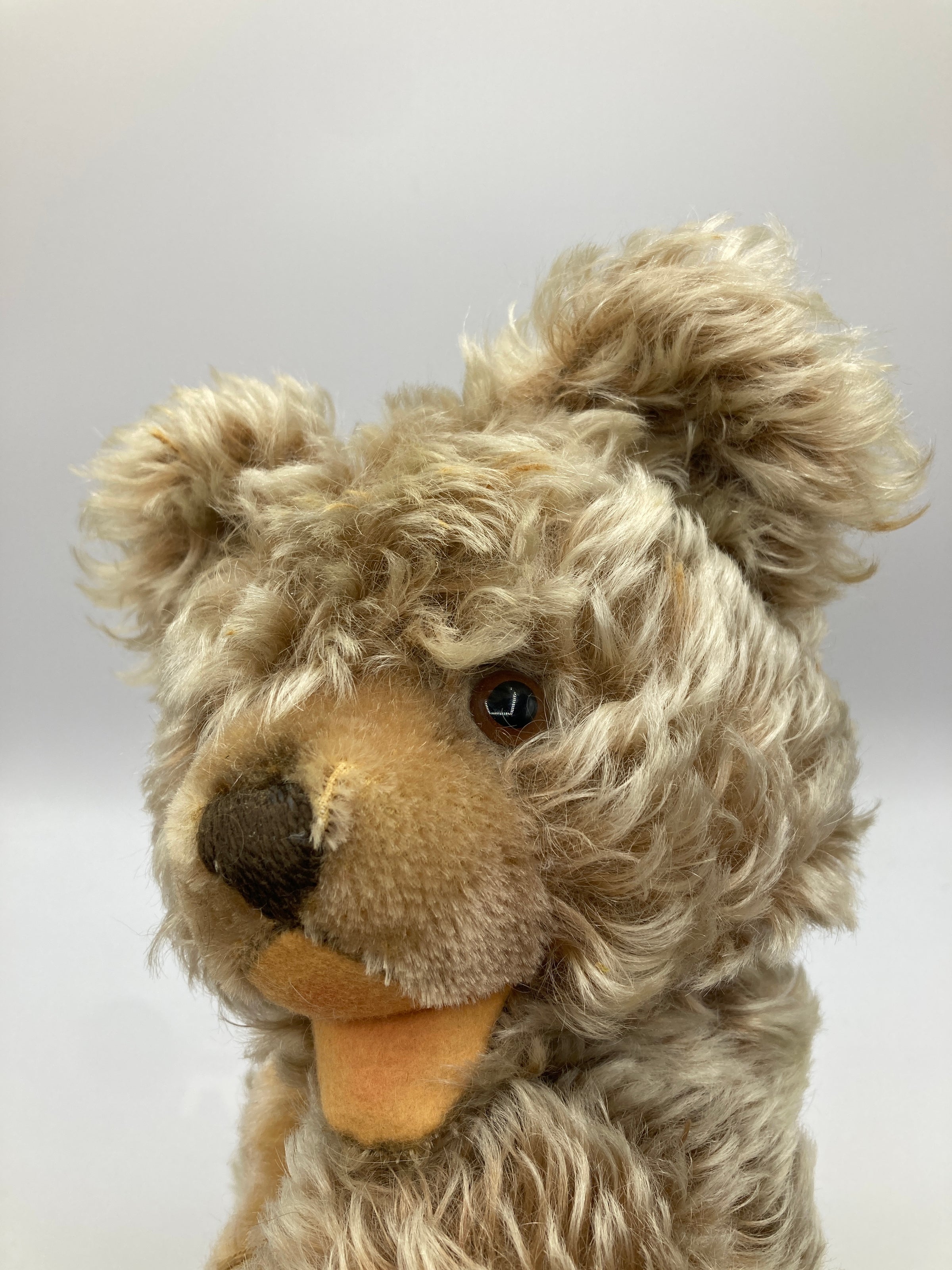 Steiff Medium Sized Mohair Zotty Teddy Bear | My Site