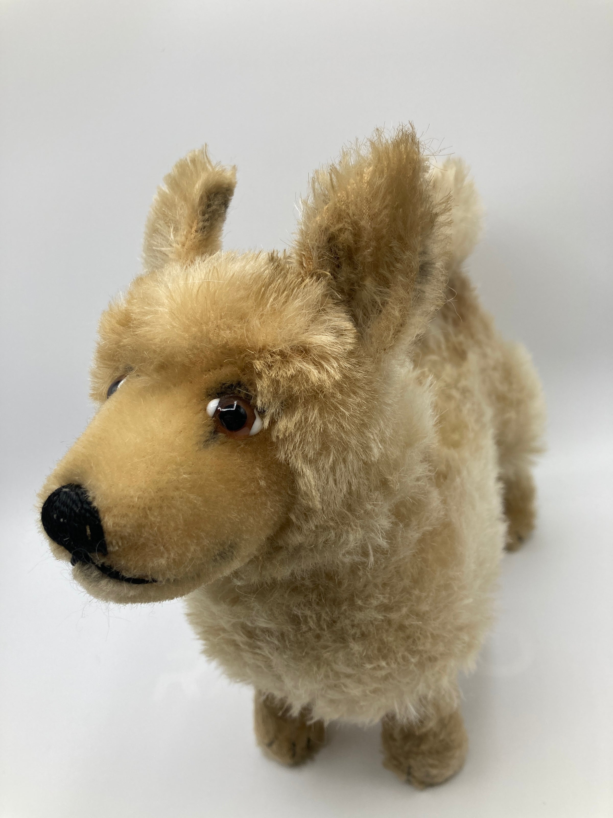 Steiff Largest And Incredibly Rare Mohair Laika the Space Dog | My