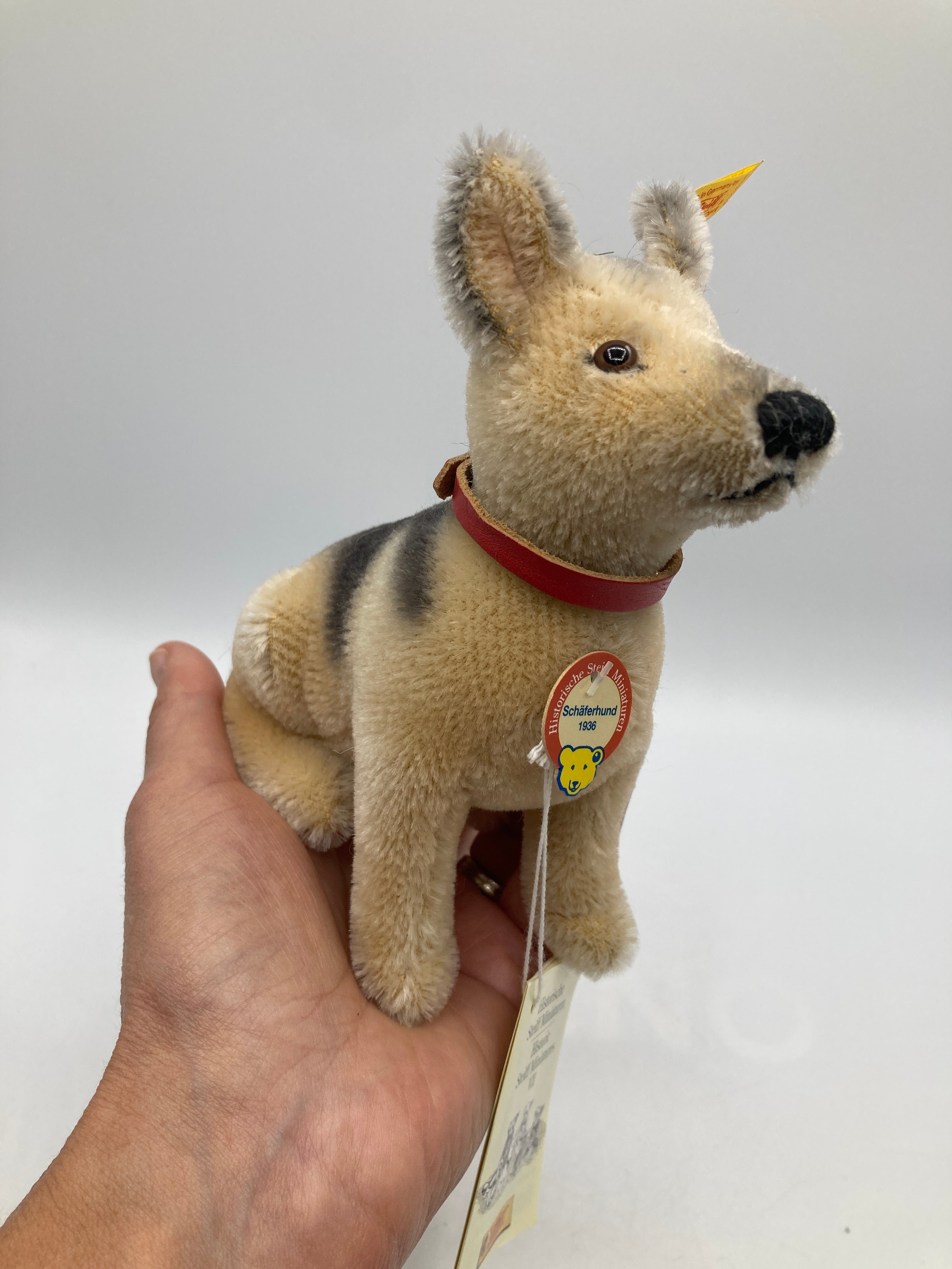 Steiff Mohair 1936 German Shepherd Dog With All IDs | My Site