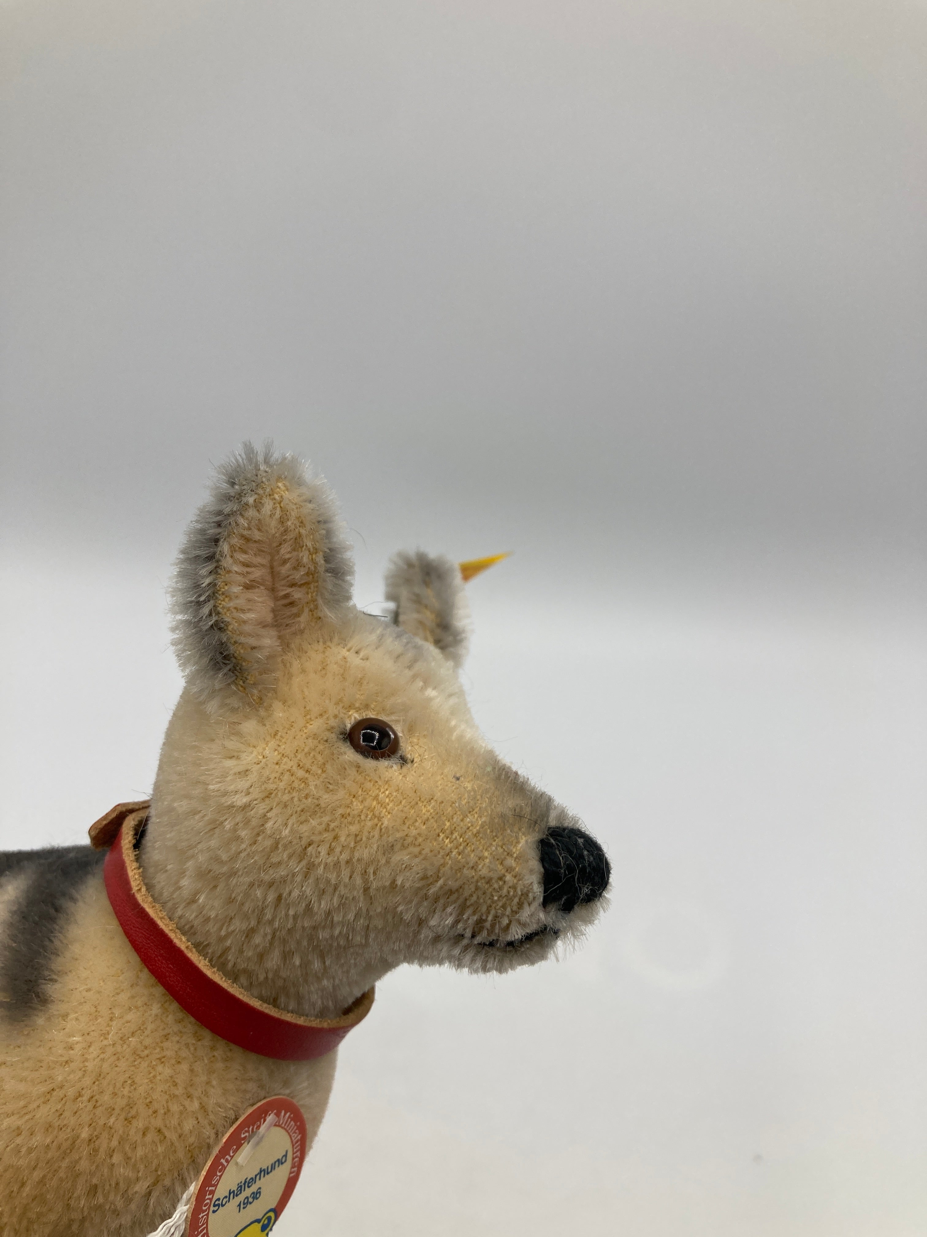 Steiff Mohair 1936 German Shepherd Dog With All IDs | My Site
