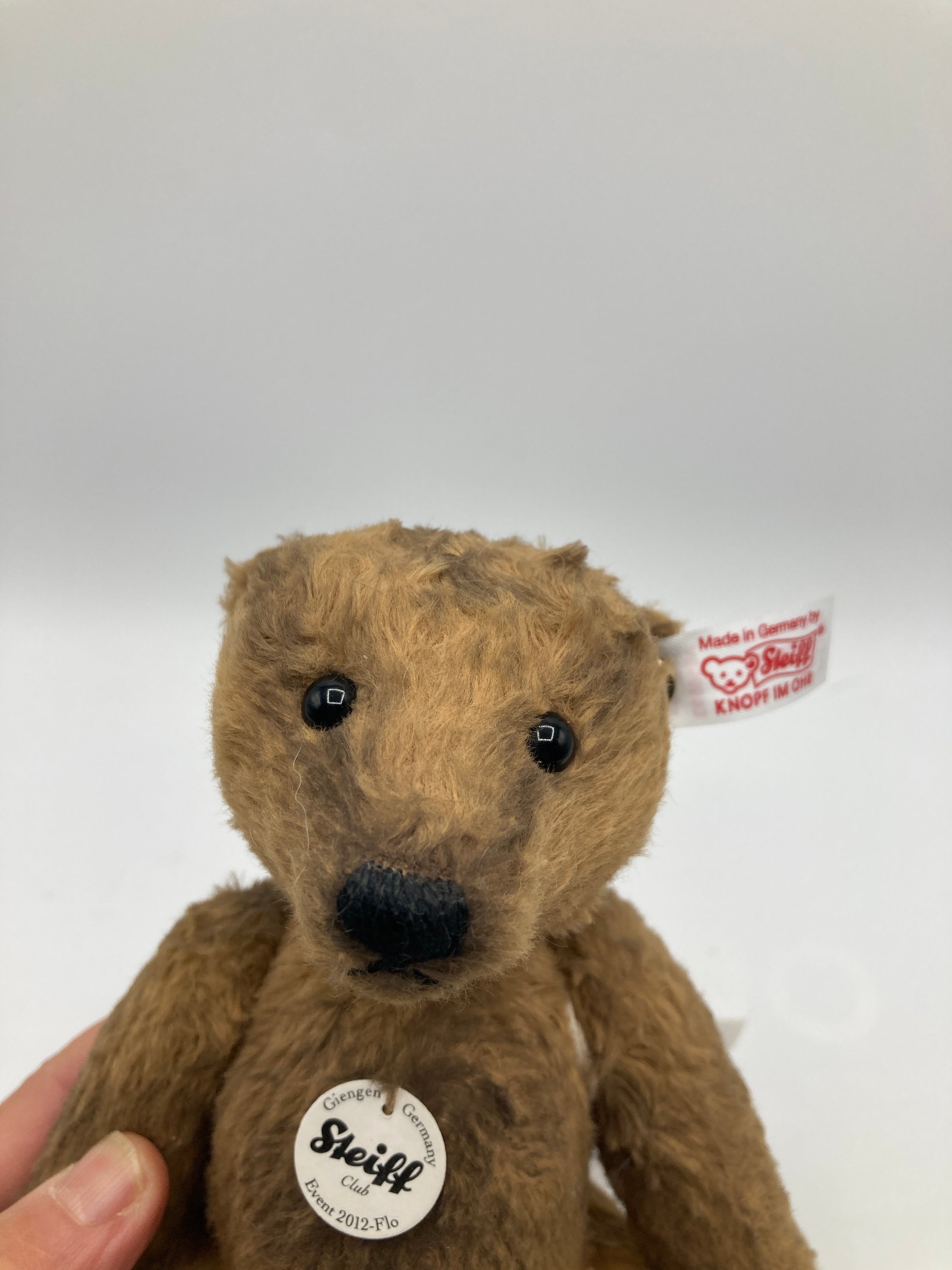 Steiff 2012 Flo Brown Special Event Teddy Bear With All IDs | My Site