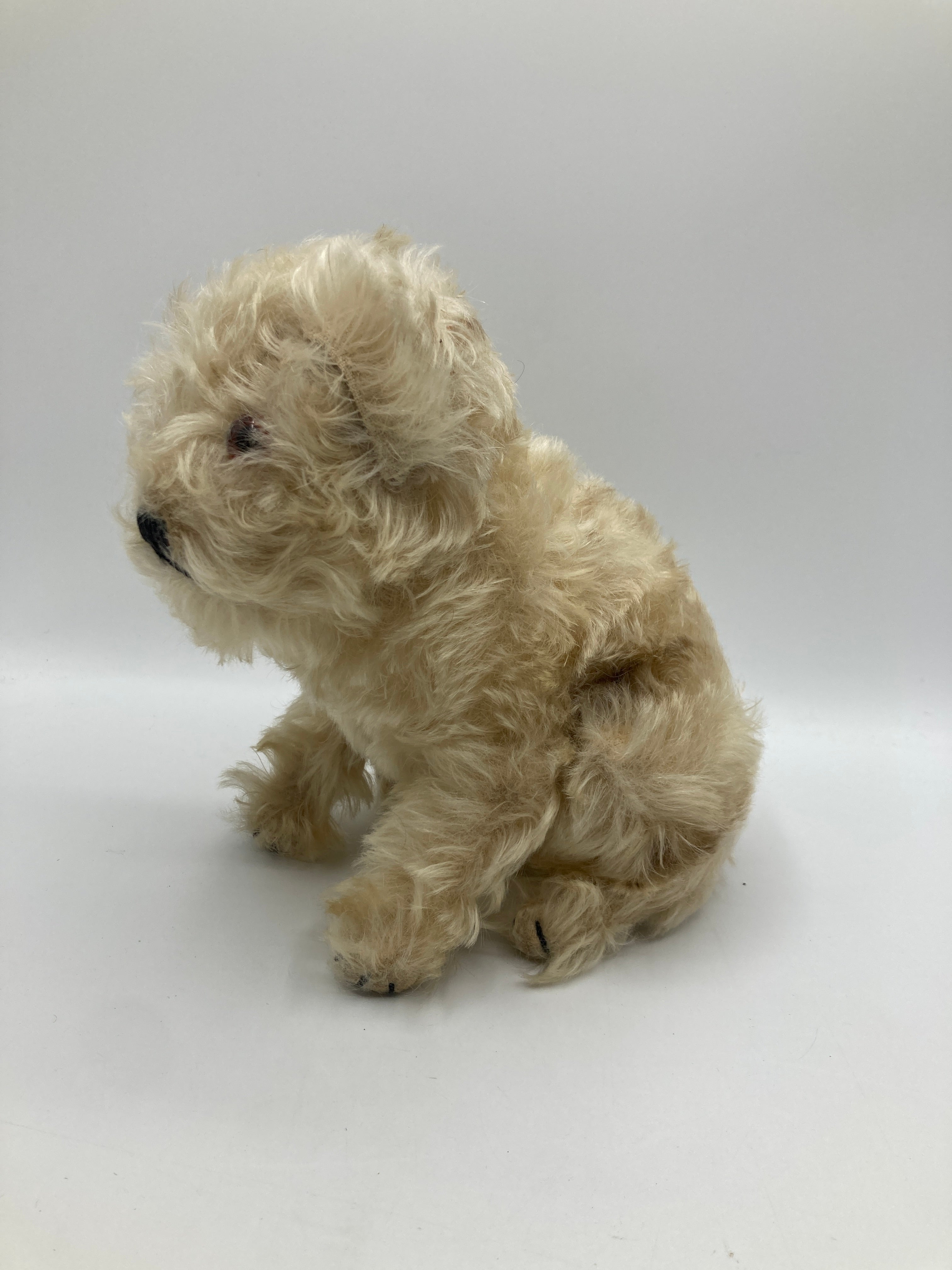 Steiff Prewar Molly The Puppy Dog With IDs | My Site