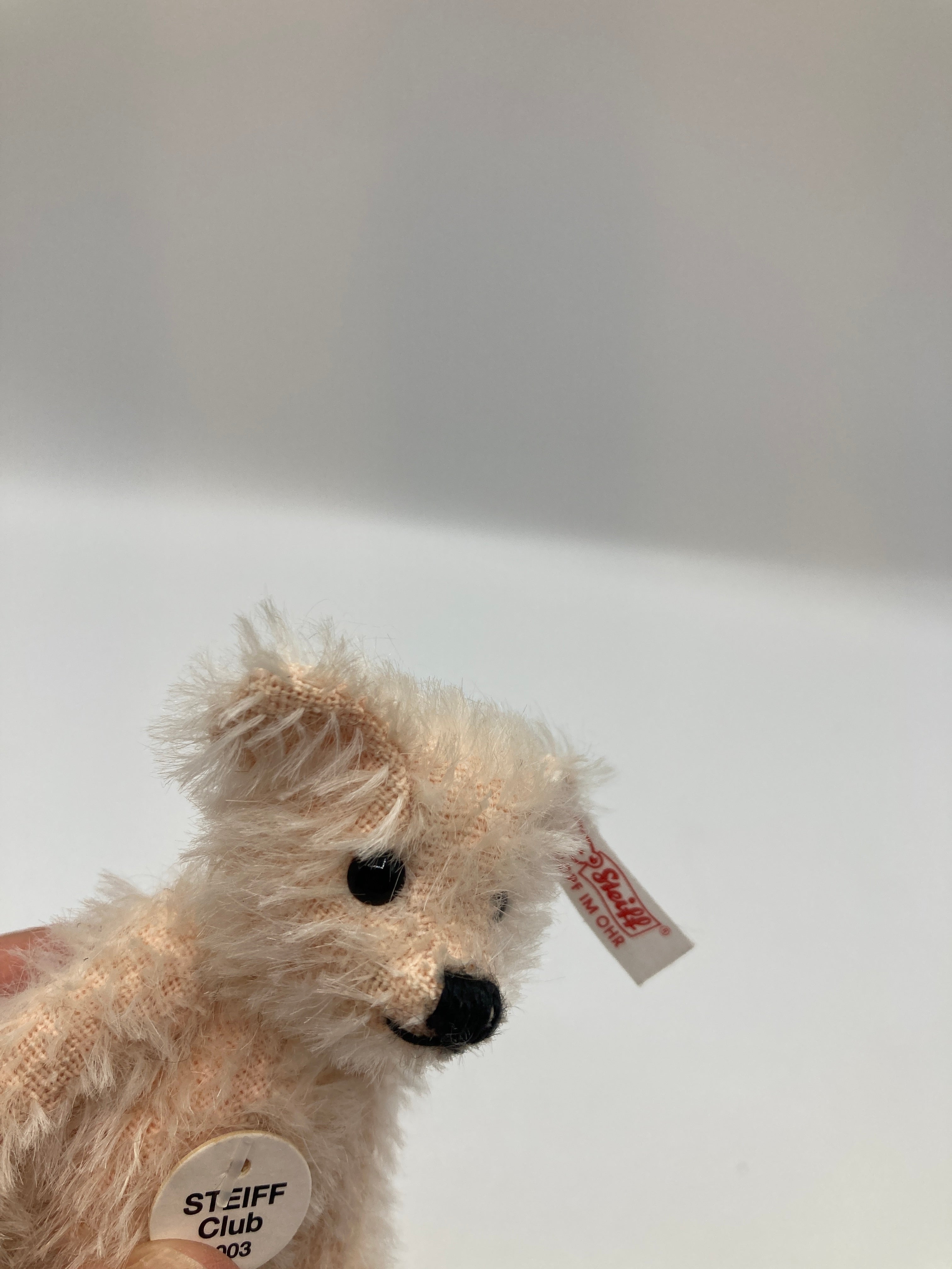 Steiff Fully Jointed Tiny 2003 Steiff Club Bear With All IDs | My Site