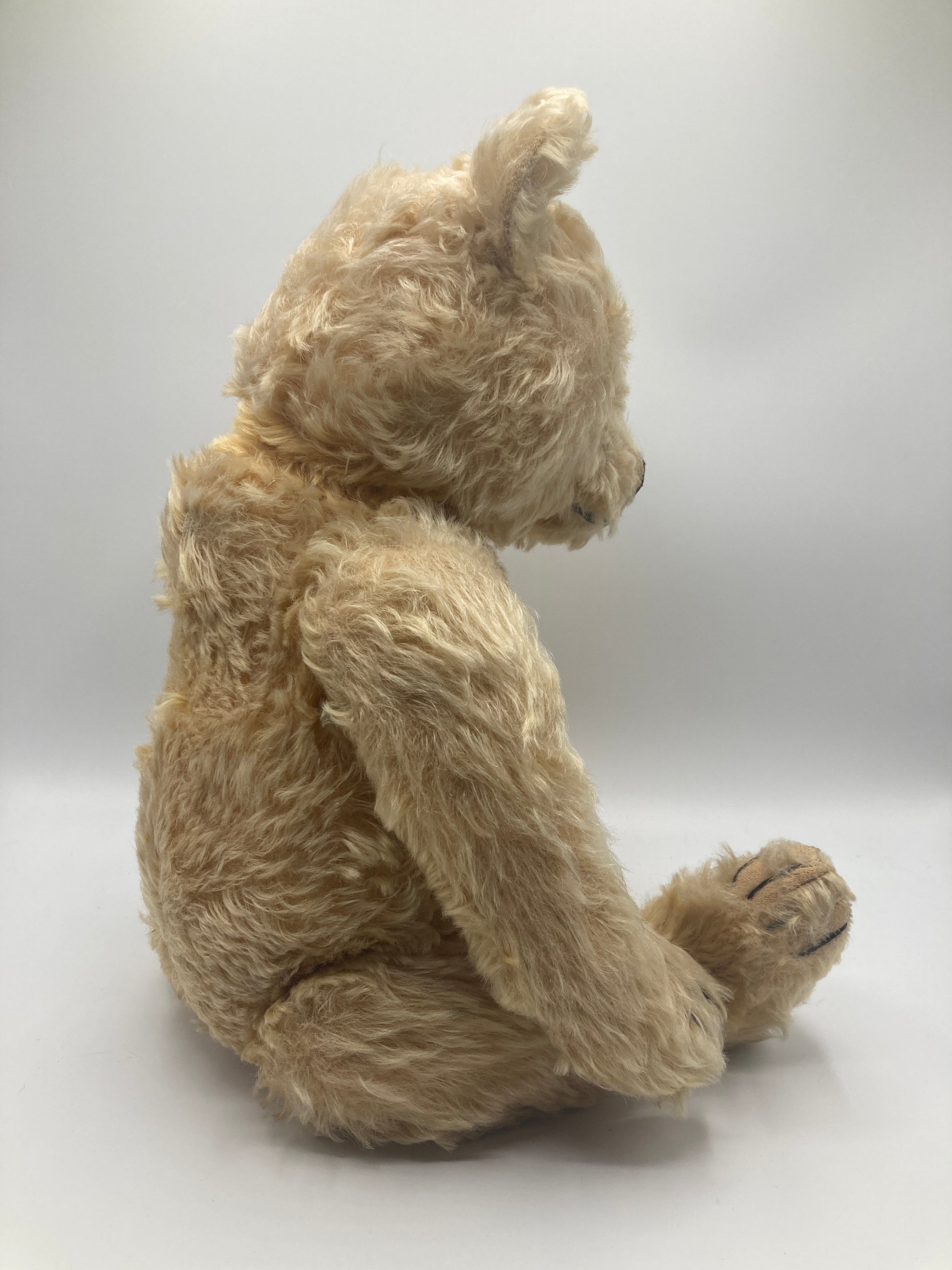 Steiff Large Blonde Midcentury Original Teddy Bear With ID | My Site