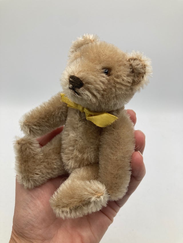 Bears | My Site