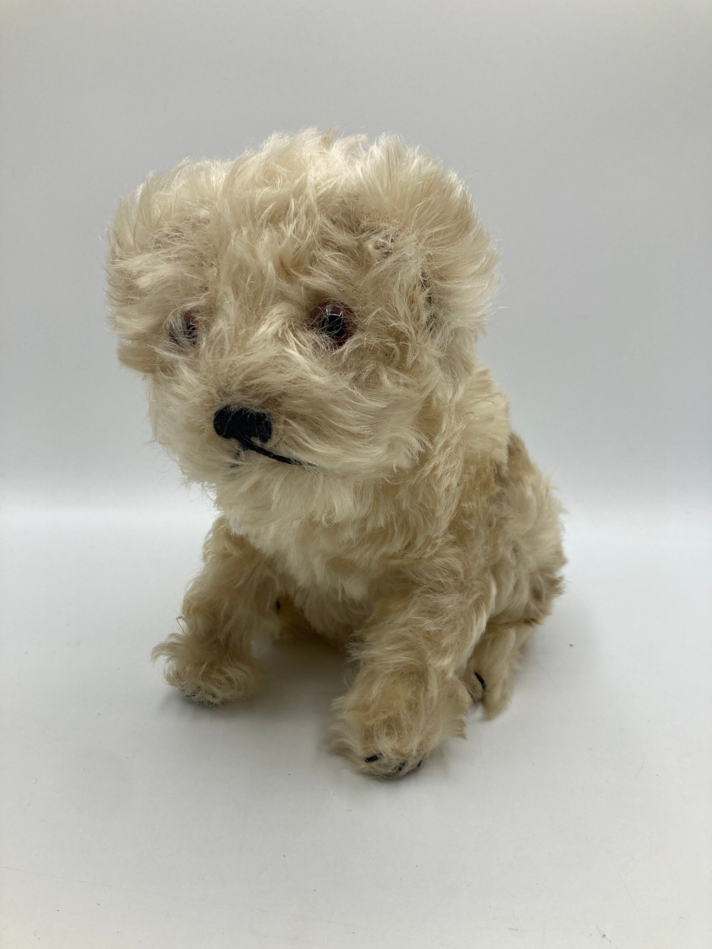 Steiff Prewar Molly The Puppy Dog With IDs | My Site