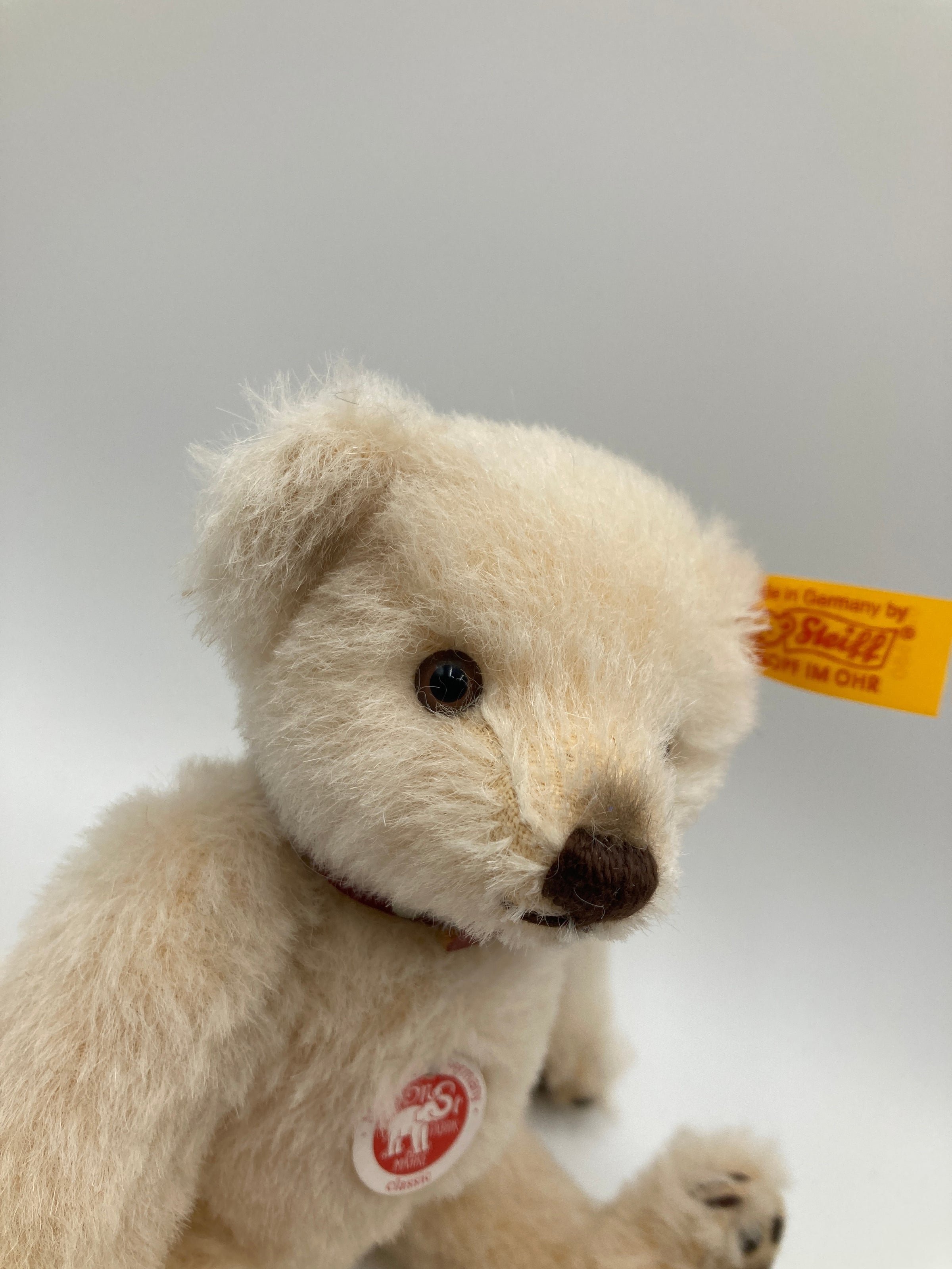 Steiff Cream Alpaca Teddy Bear With All IDs | My Site