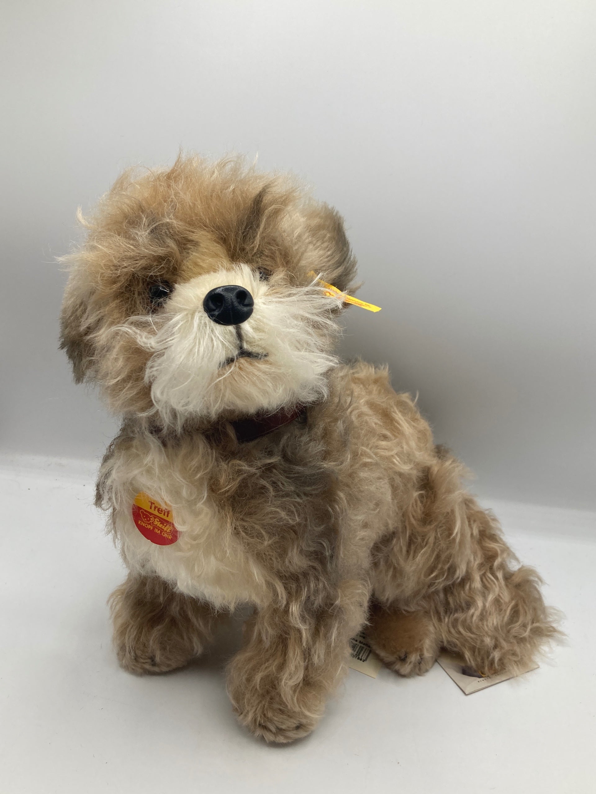 My SteiffLife | My Site