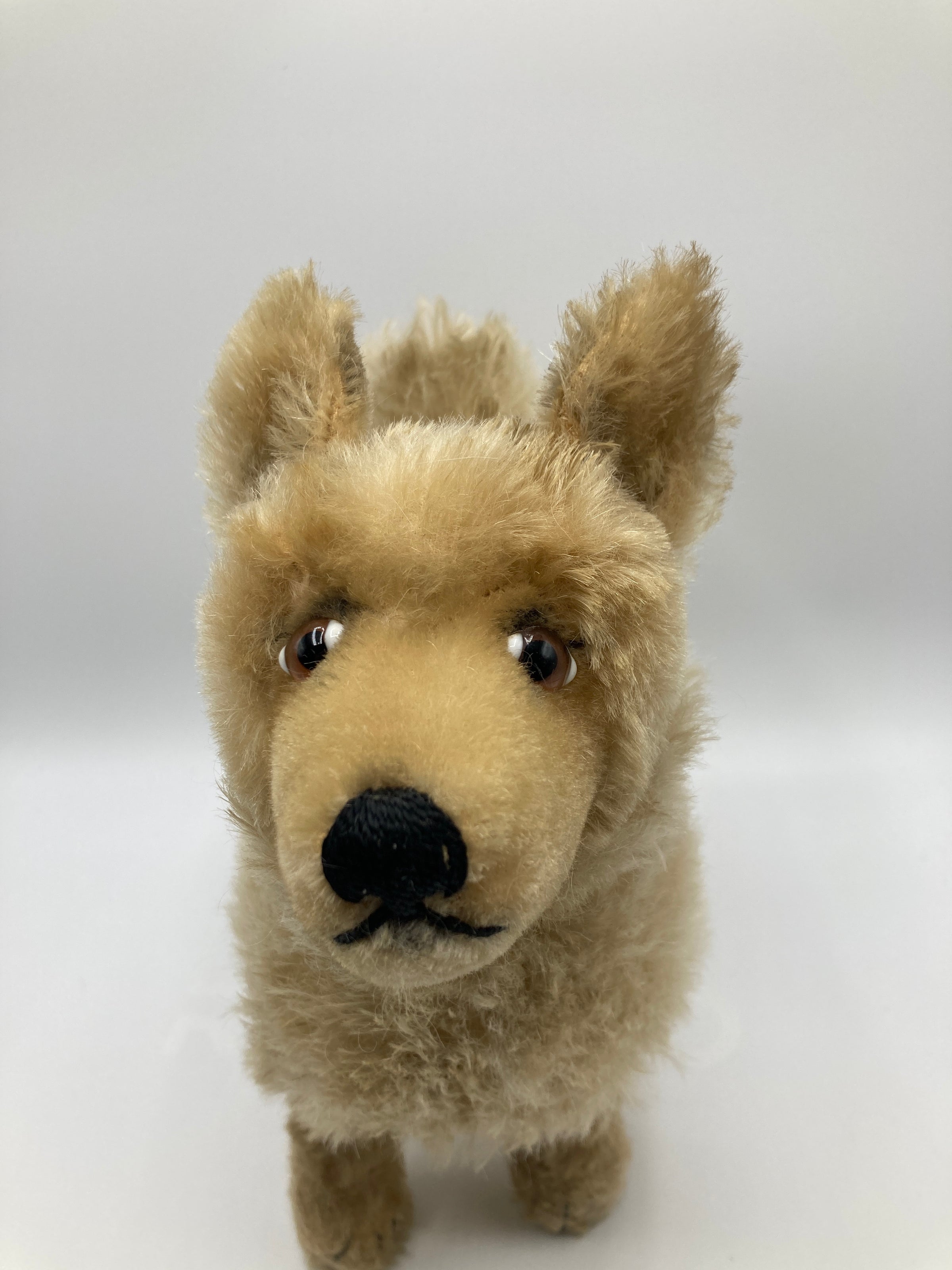 Steiff Largest And Incredibly Rare Mohair Laika the Space Dog | My