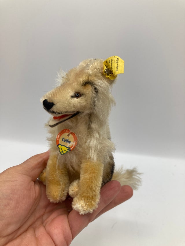 Dogs | My Site