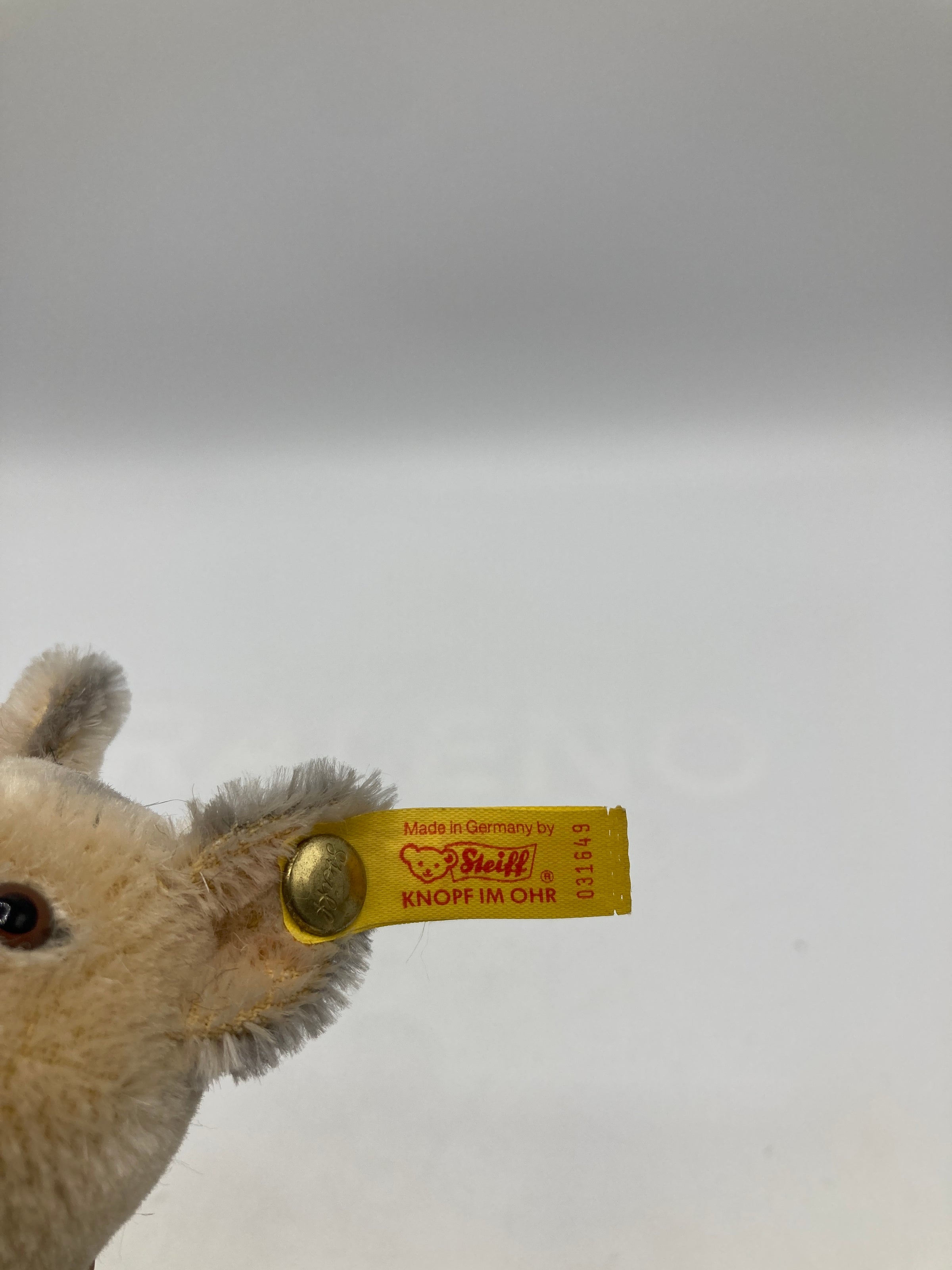 Steiff Mohair 1936 German Shepherd Dog With All IDs | My Site