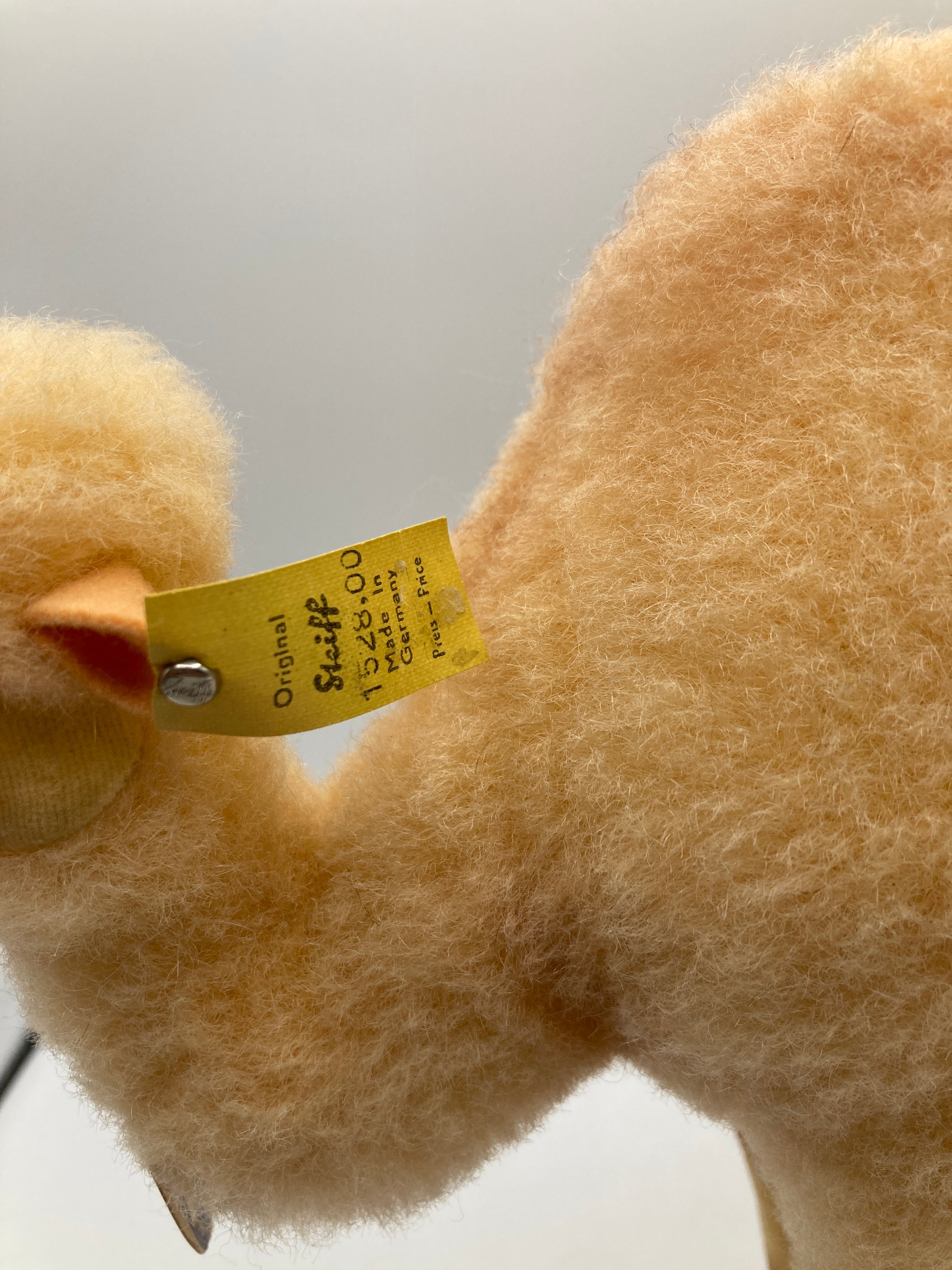 Steiff Almost Largest Wool Plush and Velvet Camel With All IDs