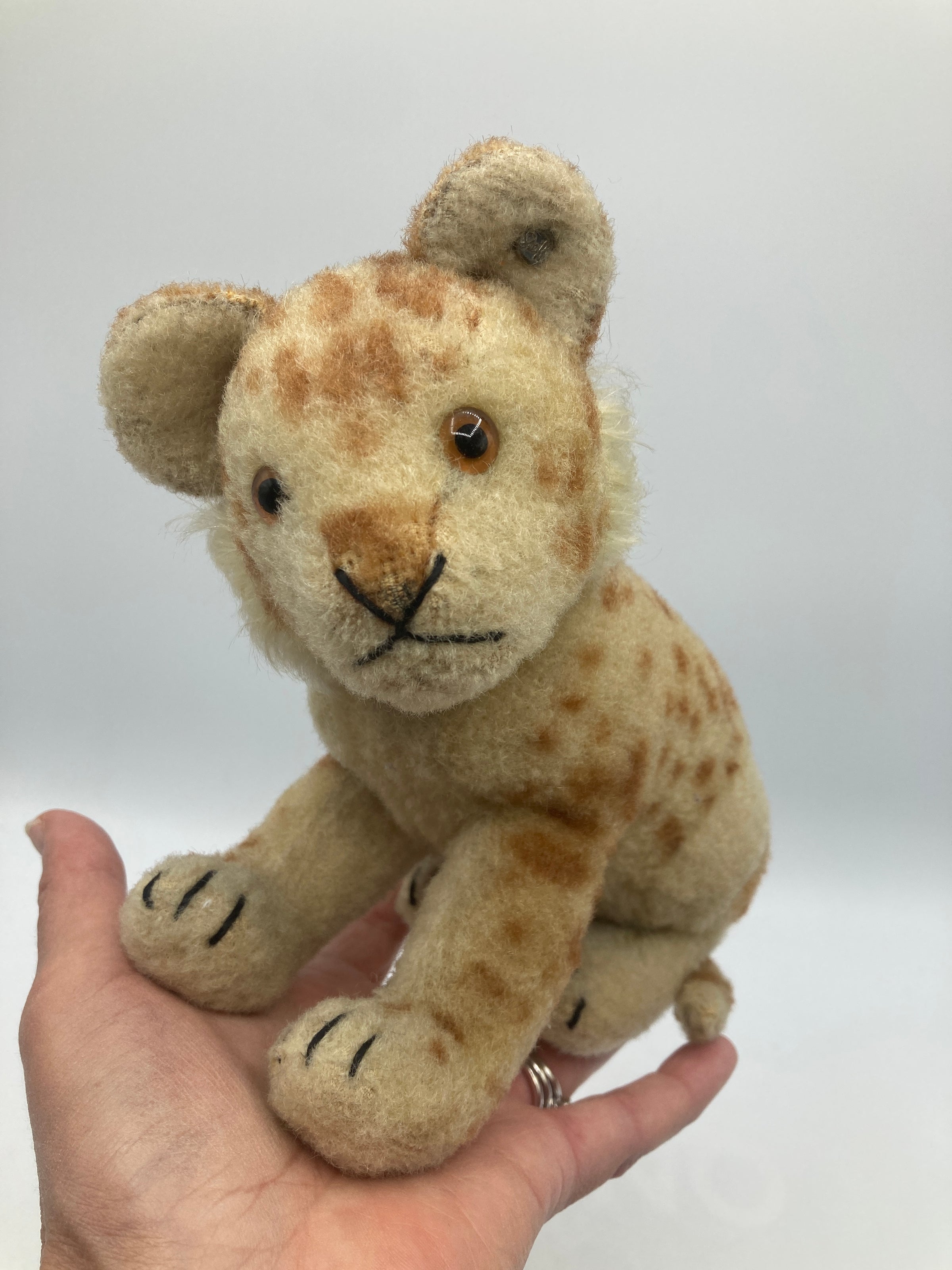 My SteiffLife | My Site