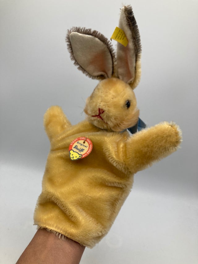 Rabbits | My Site