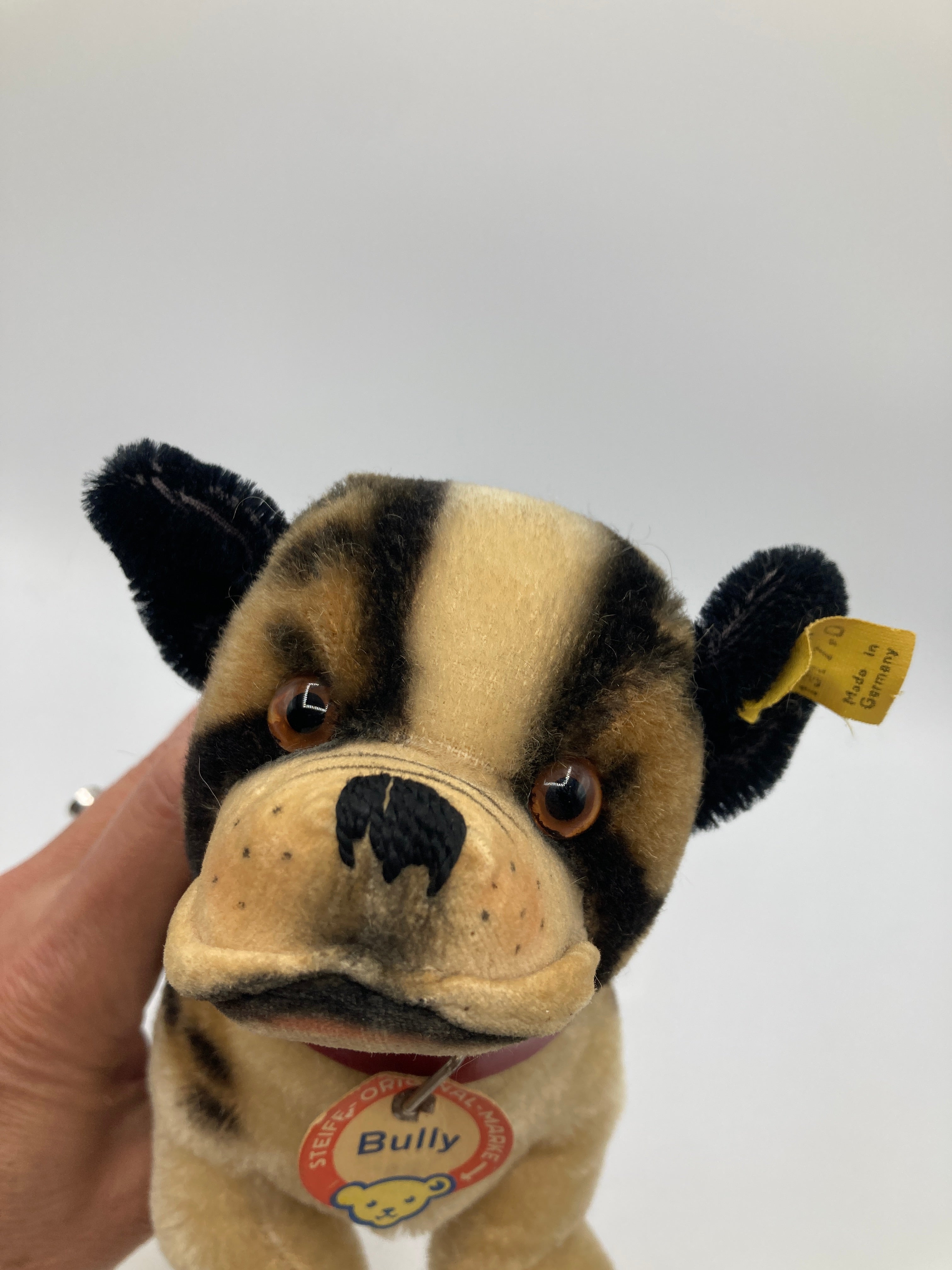 Steiff Medium Bully Bulldog Dog With All IDs | My Site