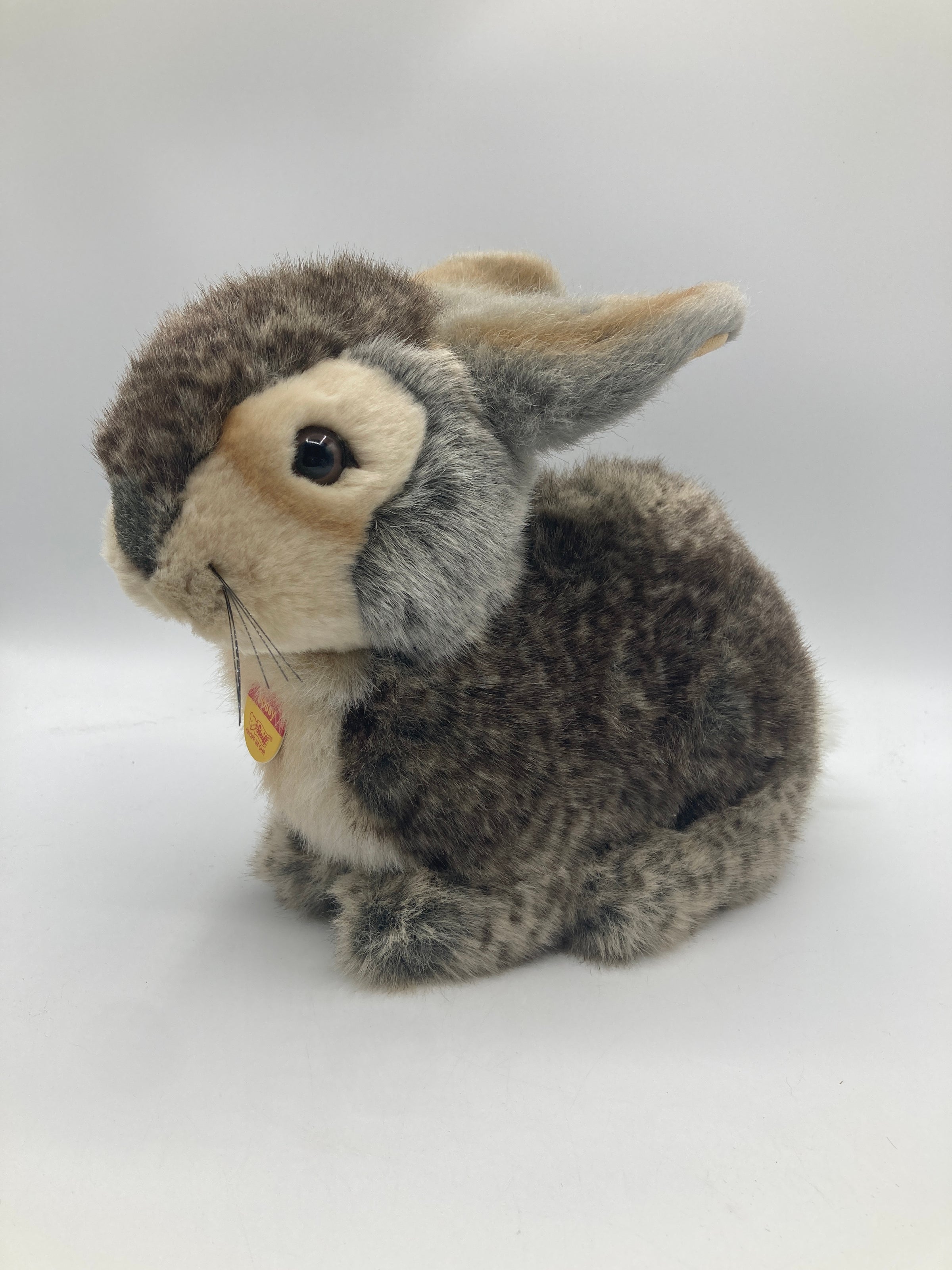 Steiff Dossy Sitting Plush Rabbit With All IDs | My Site