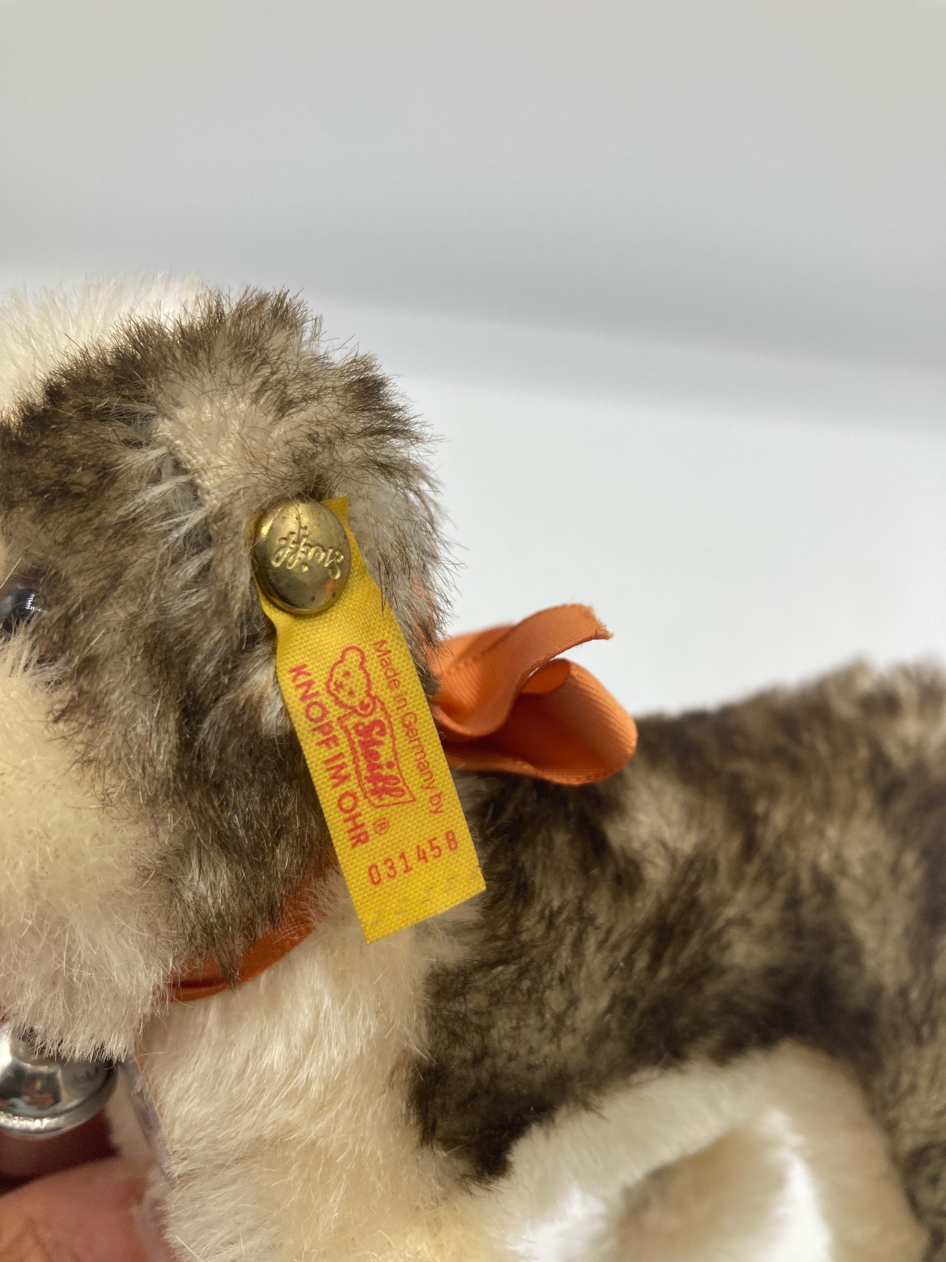 Steiff Standing 1927 Molly The Puppy Replica With All IDs | My Site
